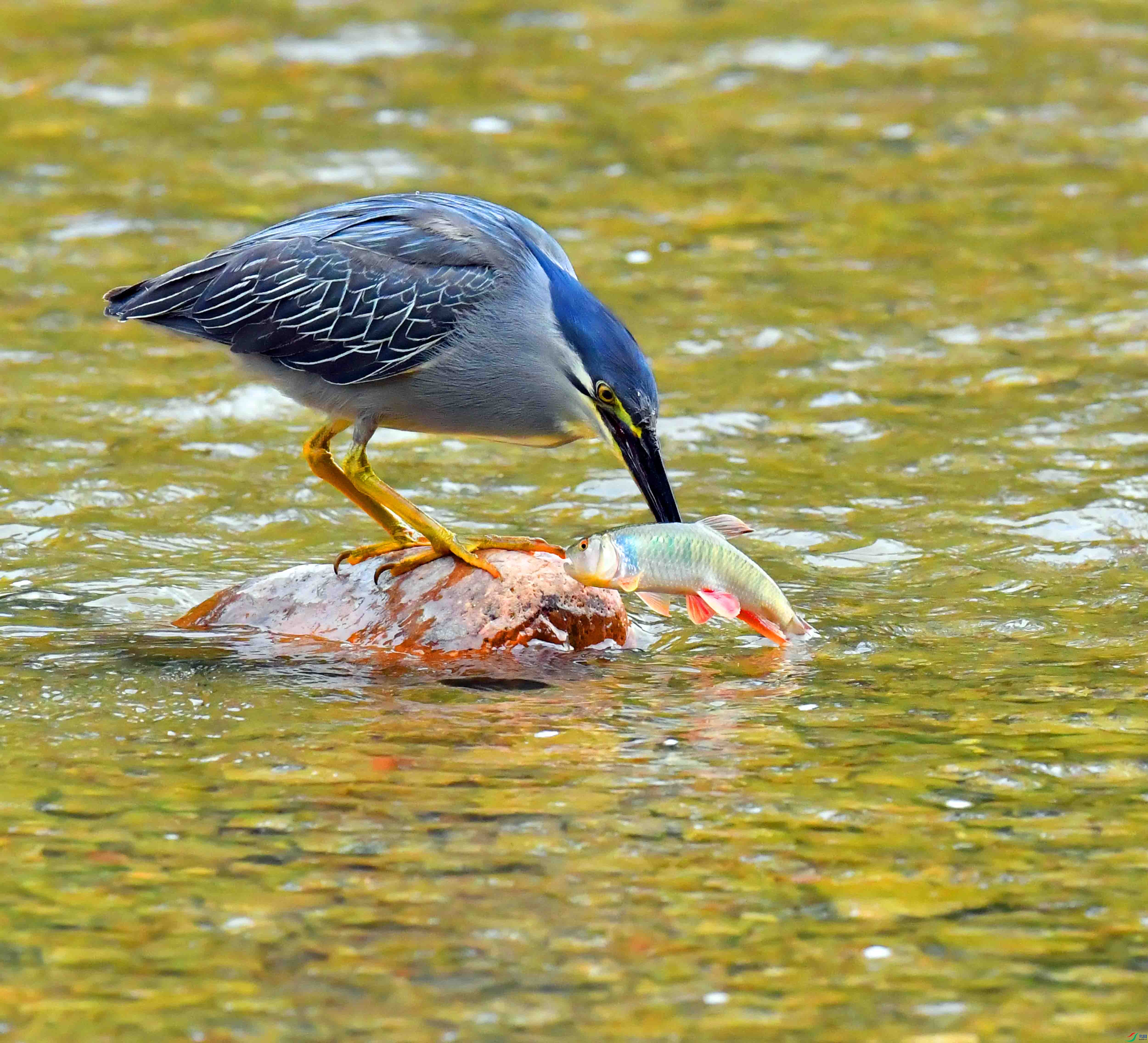 DSC_0628.JPG