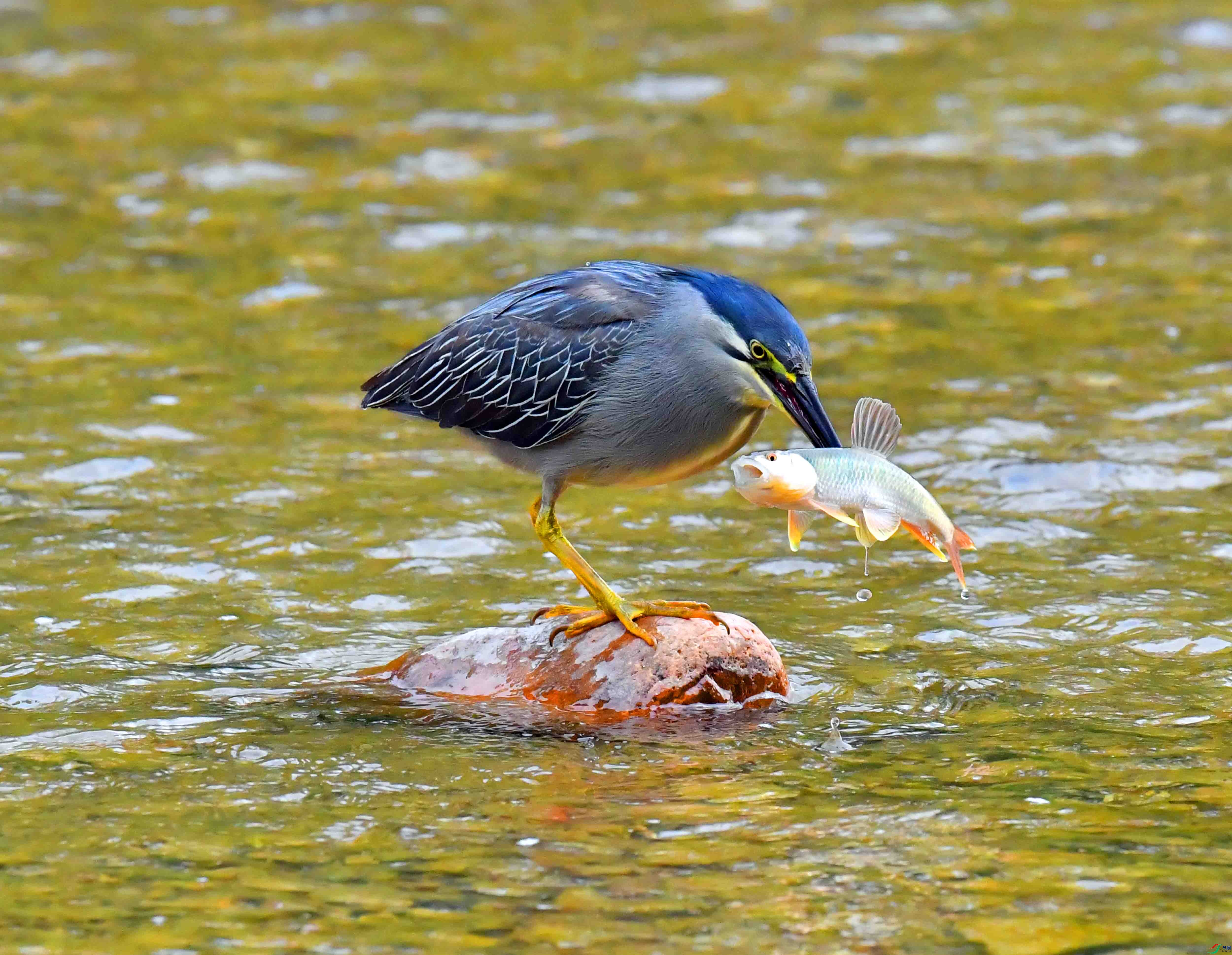 DSC_0639.JPG