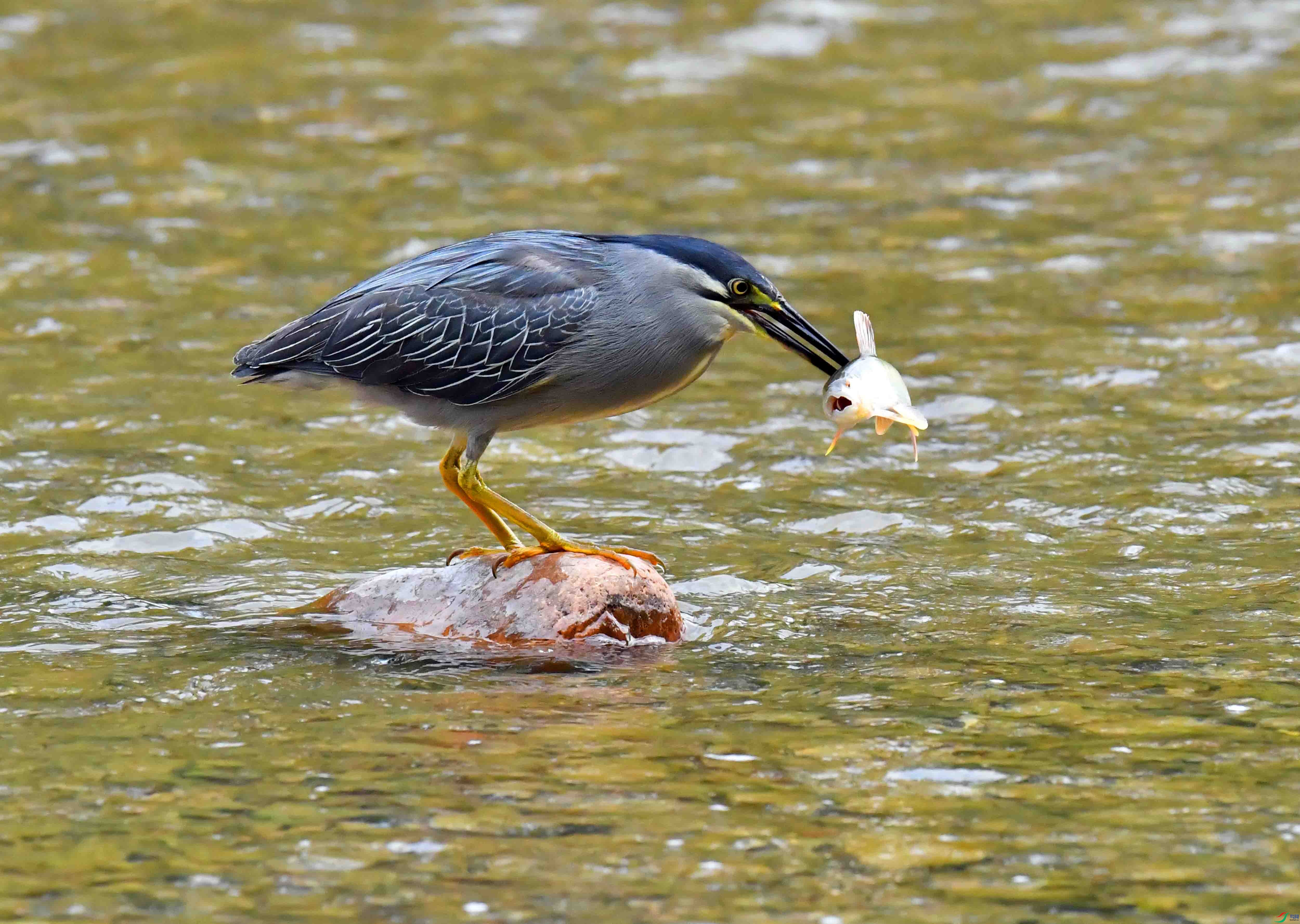 DSC_0643.JPG