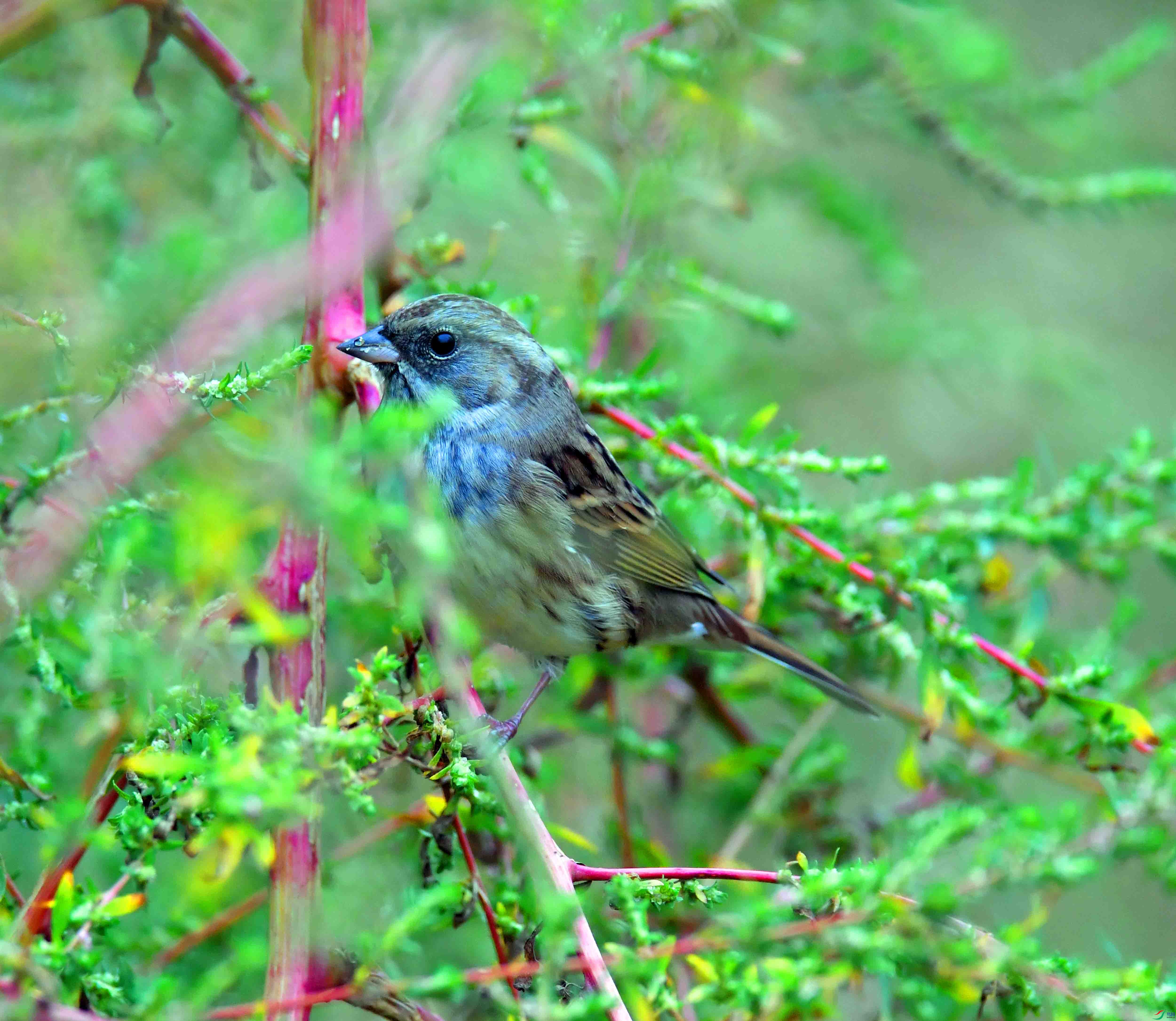 DSC_2573.JPG