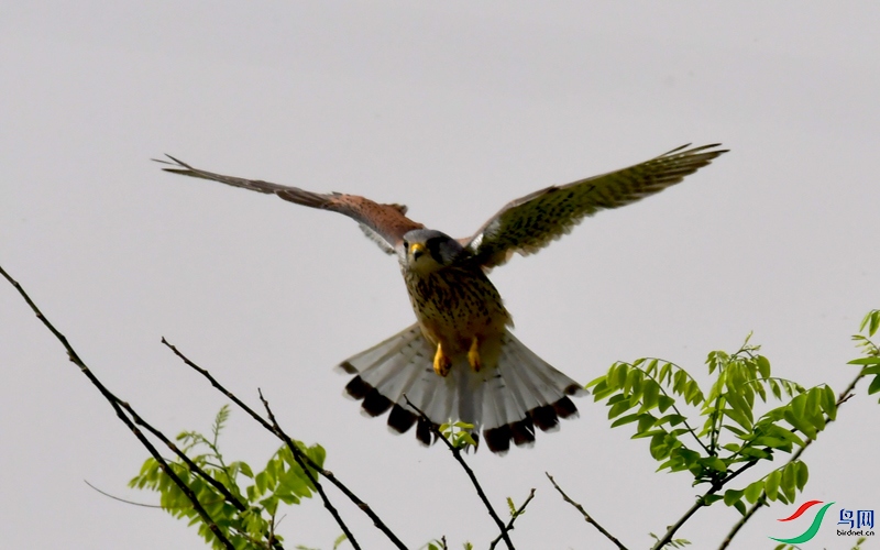 DSC_7908.JPG