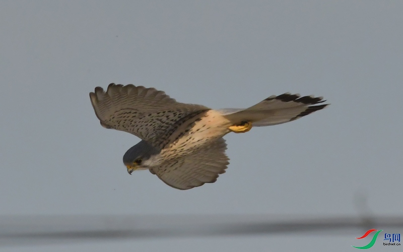 DSC_6306.JPG