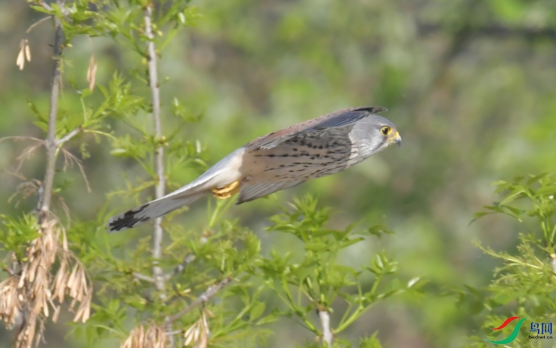 DSC_6273.JPG