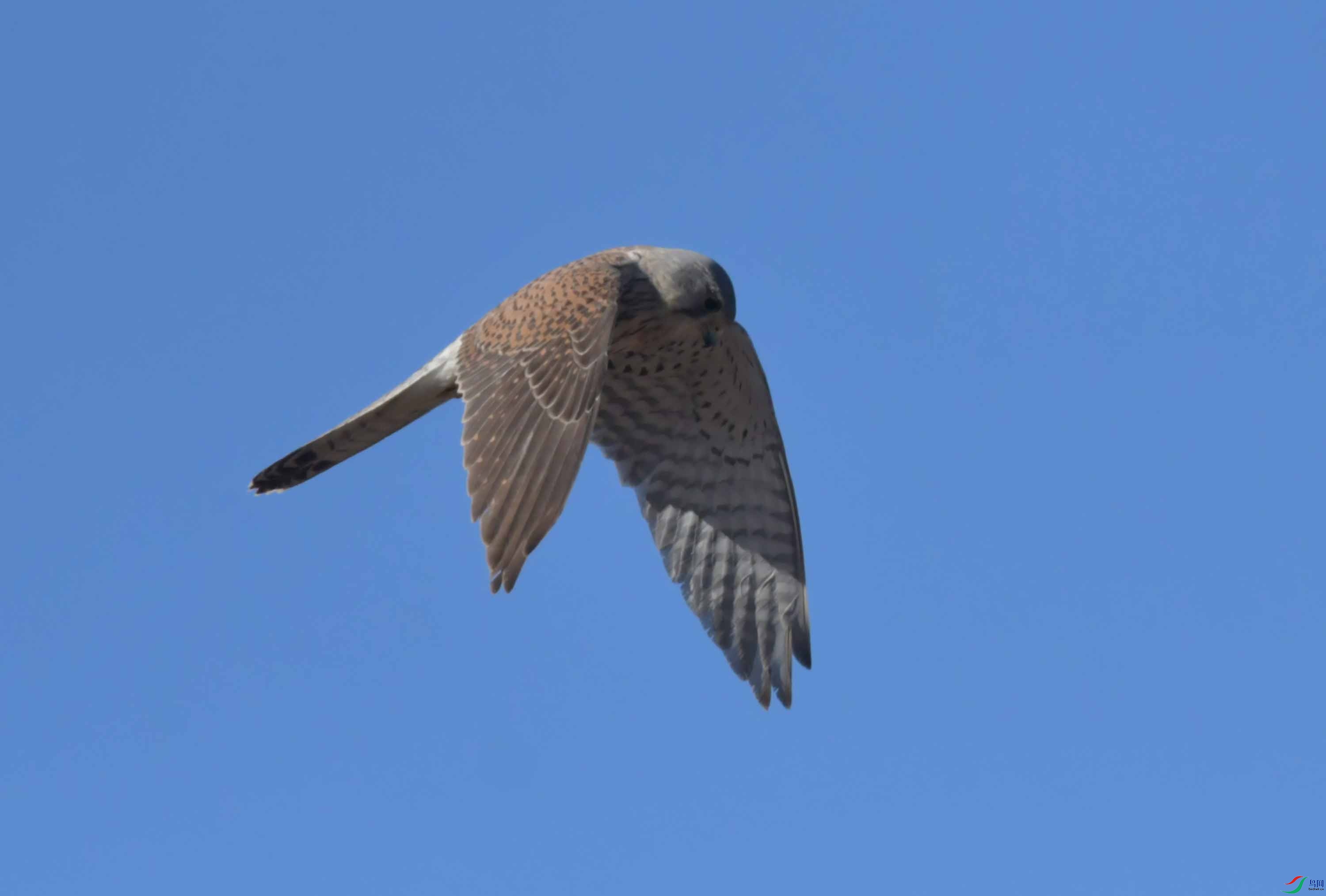 DSC_8634.JPG