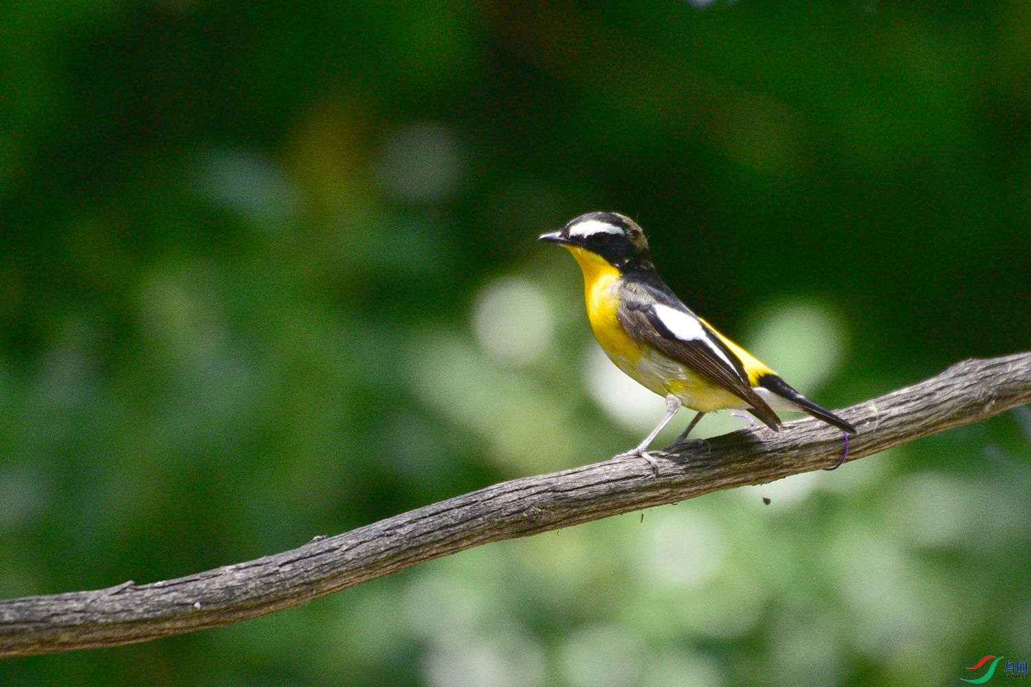 DSC_6031.JPG