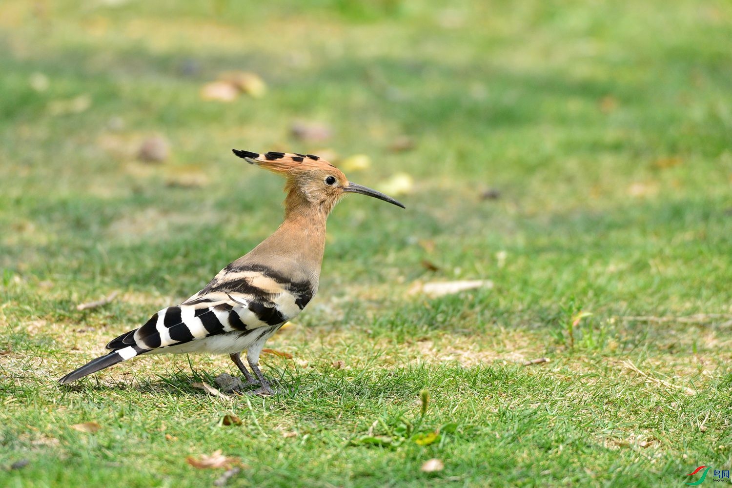 DSC_8067.JPG