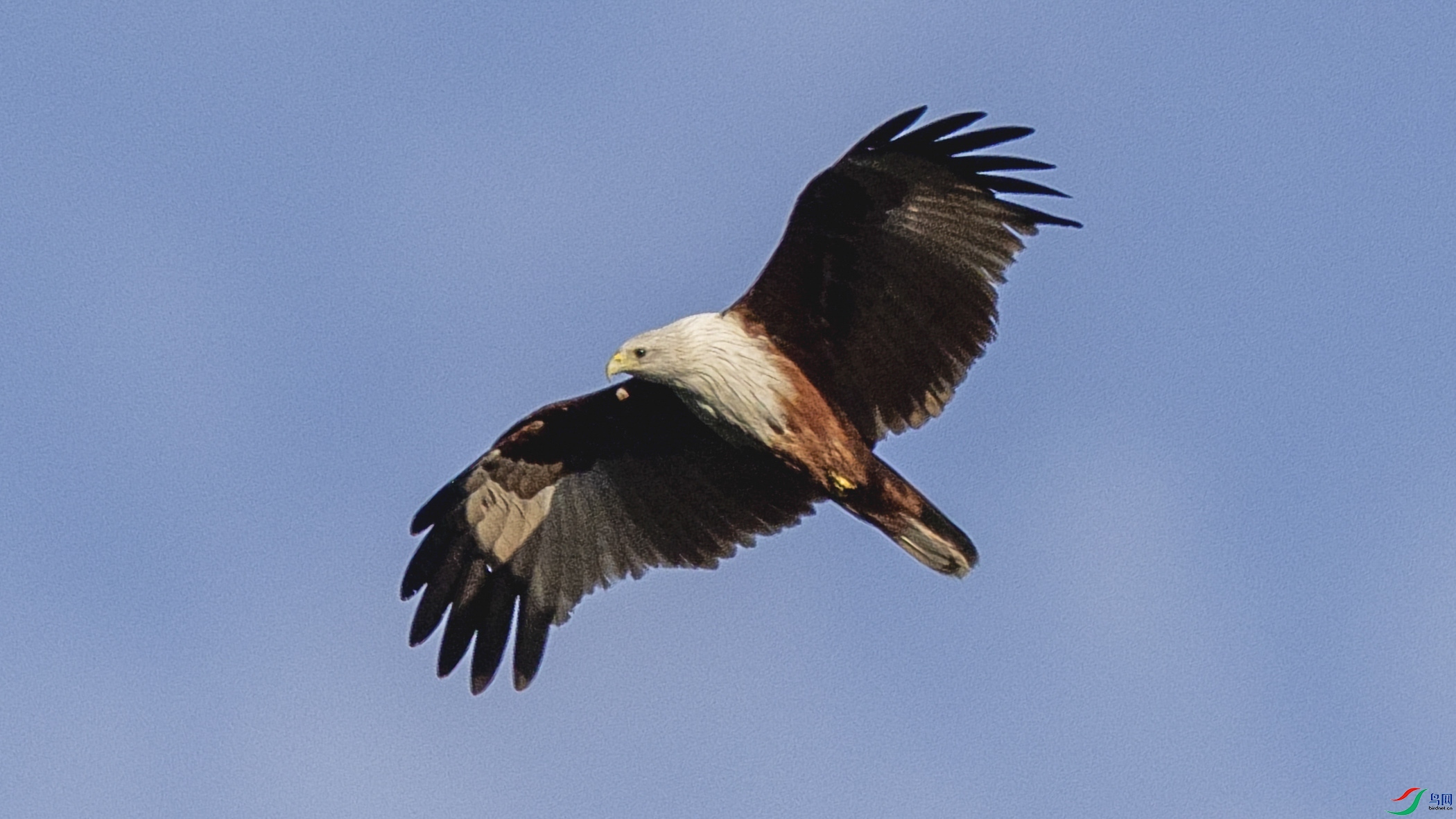 4Z6A5900.jpg