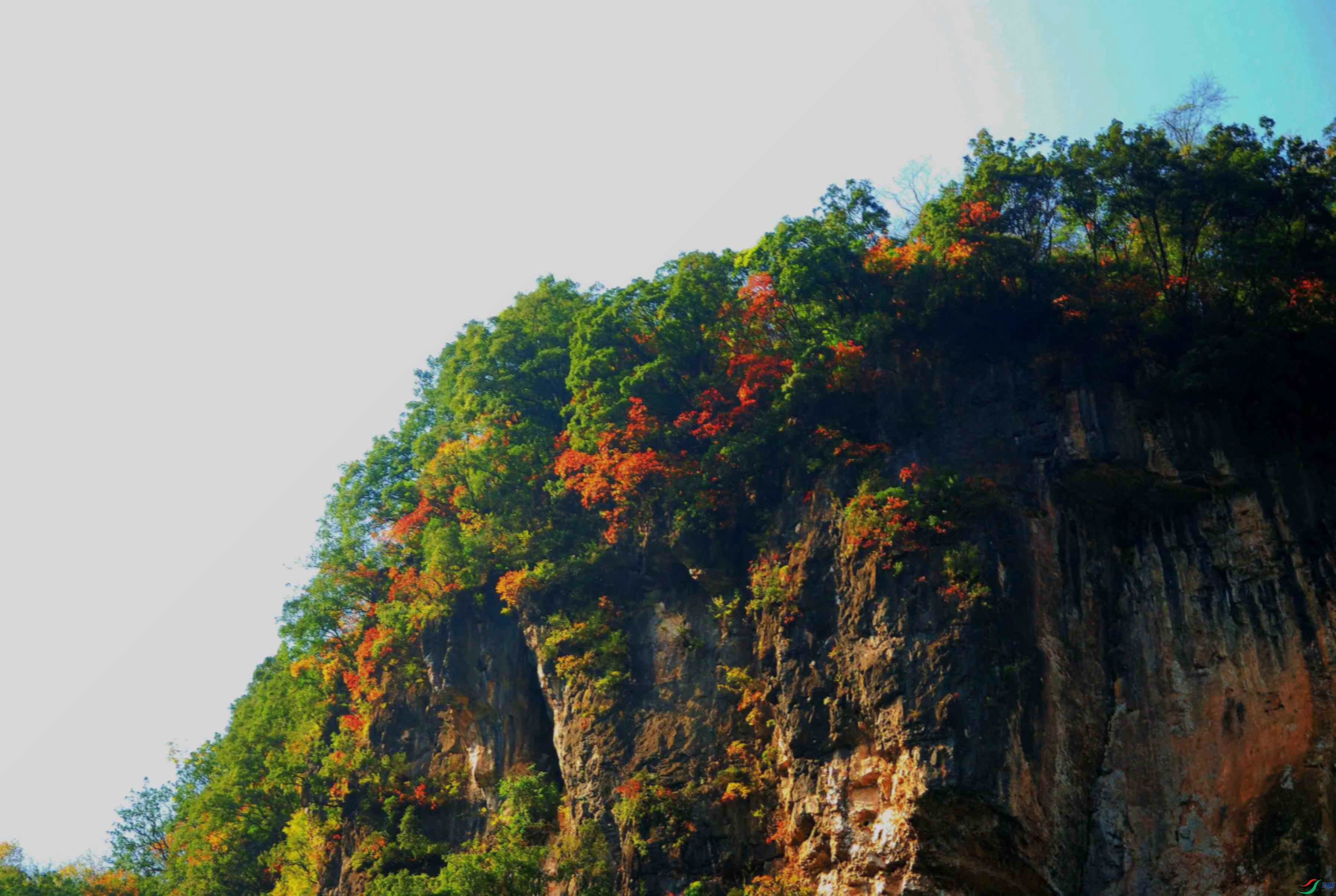 DSC_1167_����.jpg