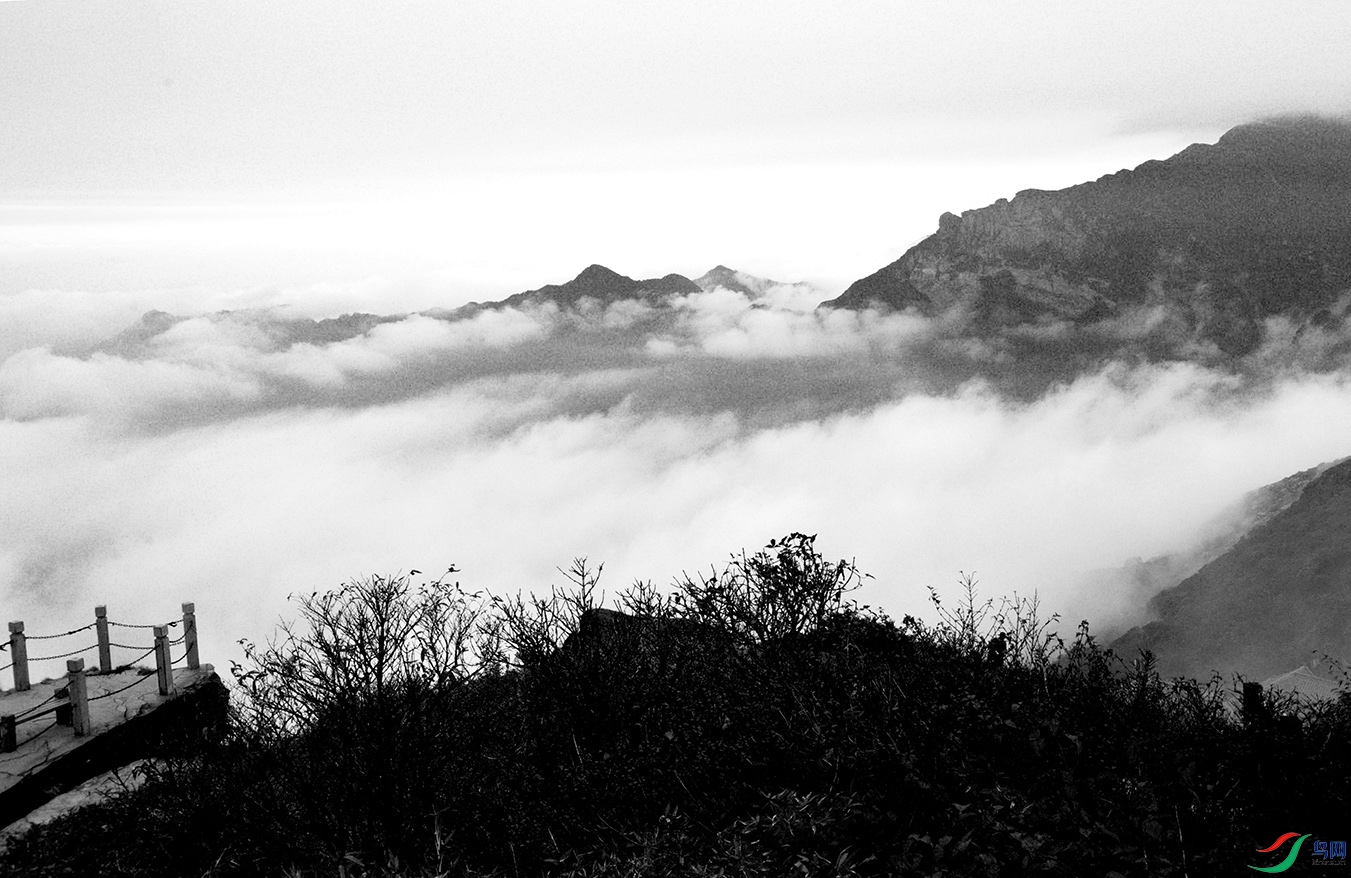 _DSC9530.jpg