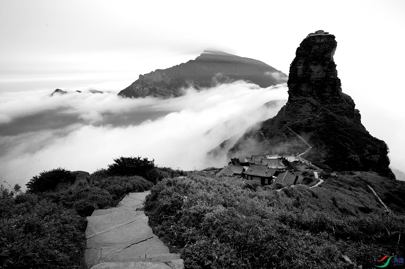_DSC9550.jpg