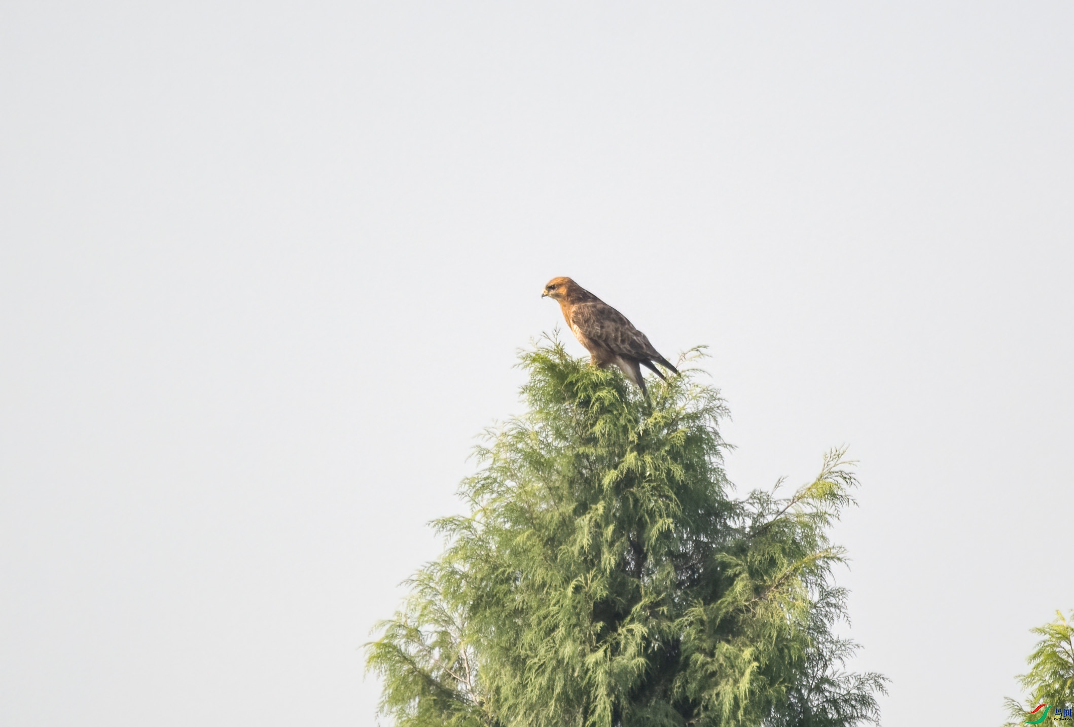 DSC_7627.jpg