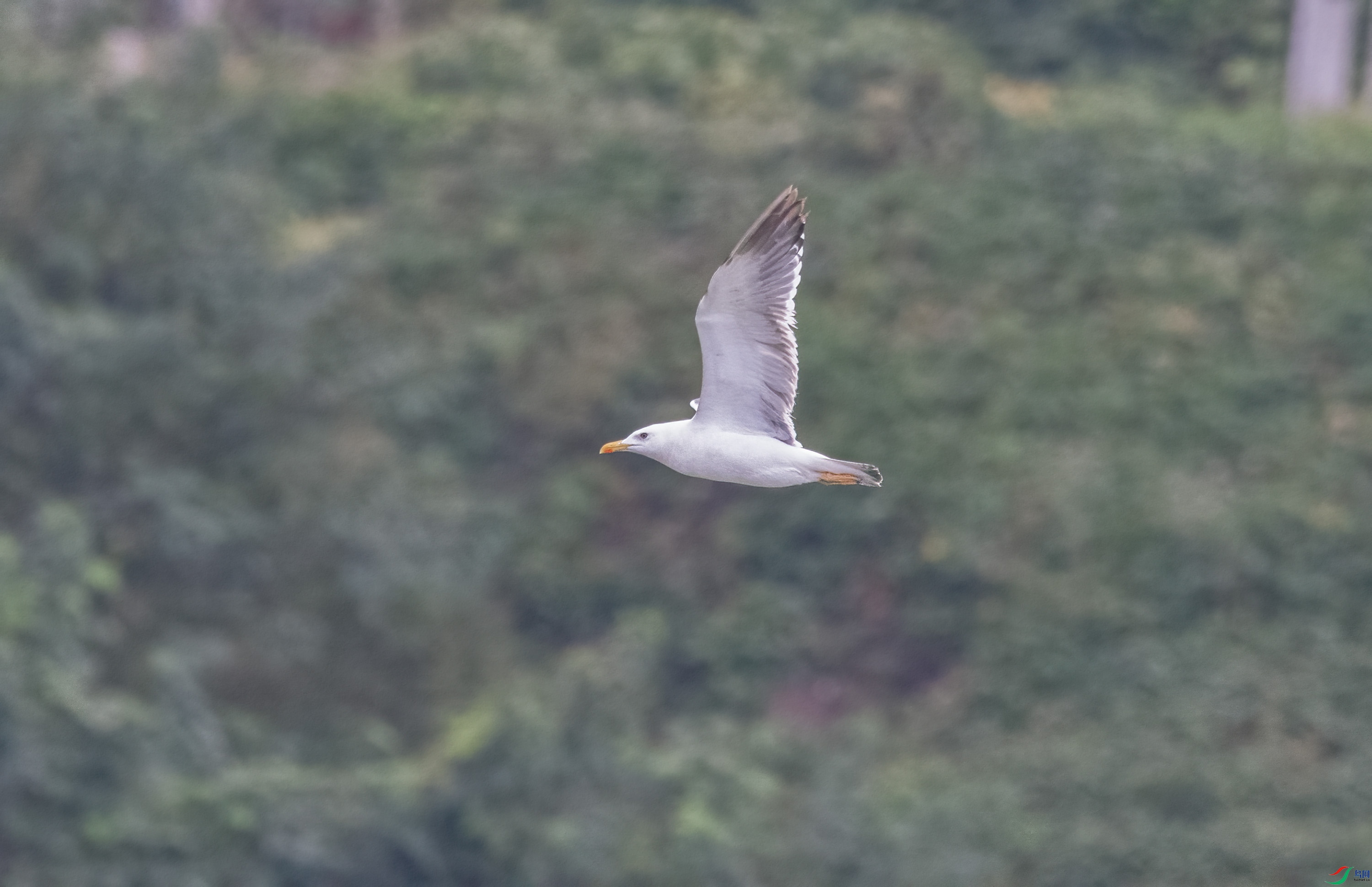 DSC_7438.jpg