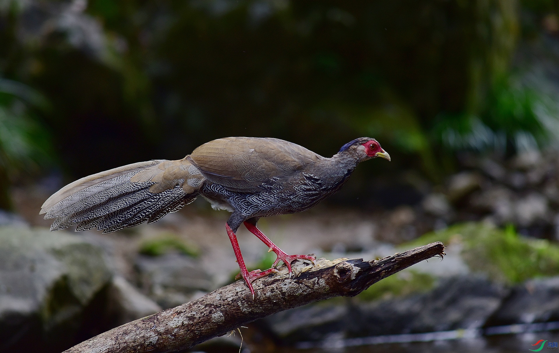 D8I_6355.jpg