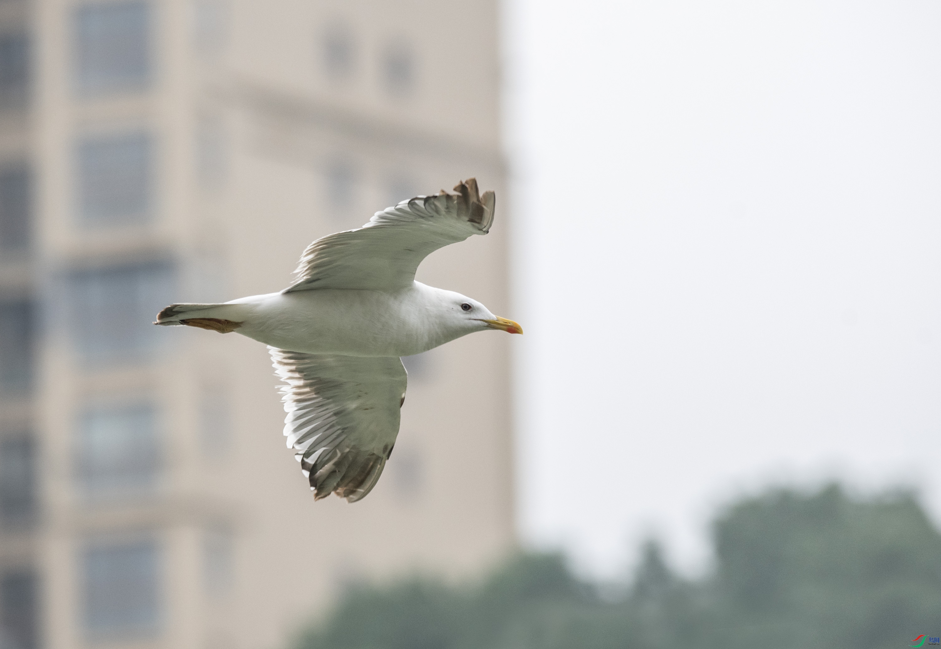 DSC_7160.jpg