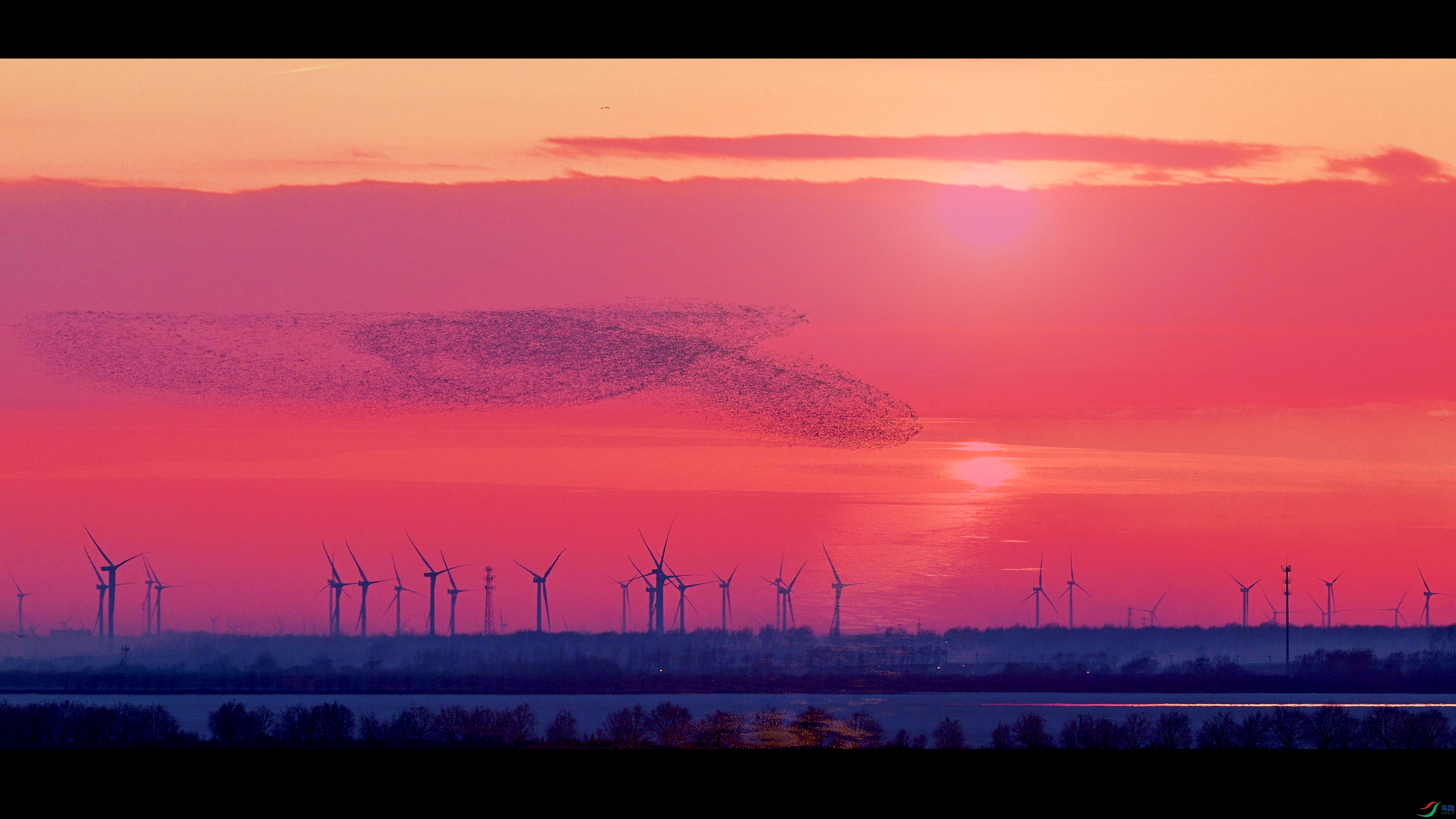 Position Music - Man At Arms (�����).00_00_18_15.Still001.jpg