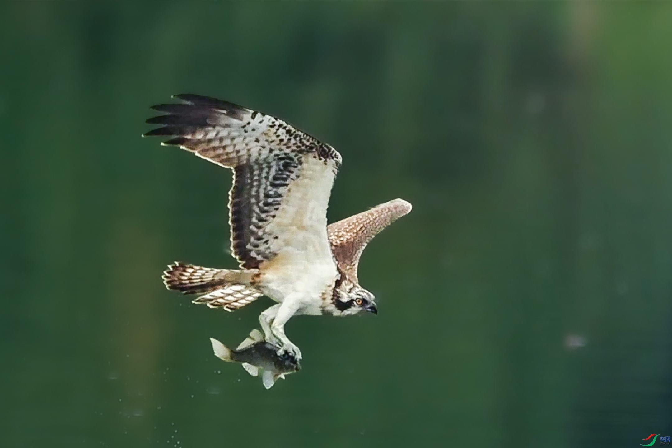 10��10��(1).mp4_20241017_142556563 ����.jpg