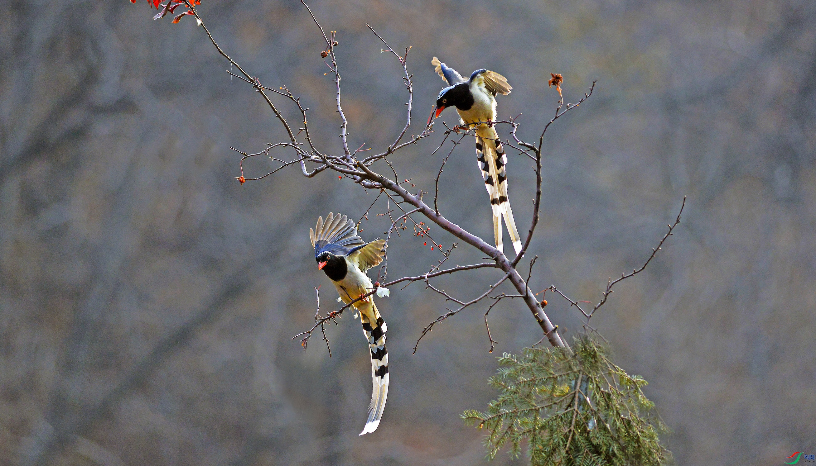 DSC_9104.jpg