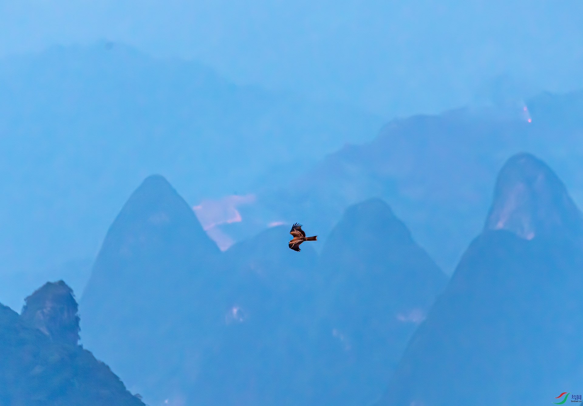 DSC_0475-11.jpg