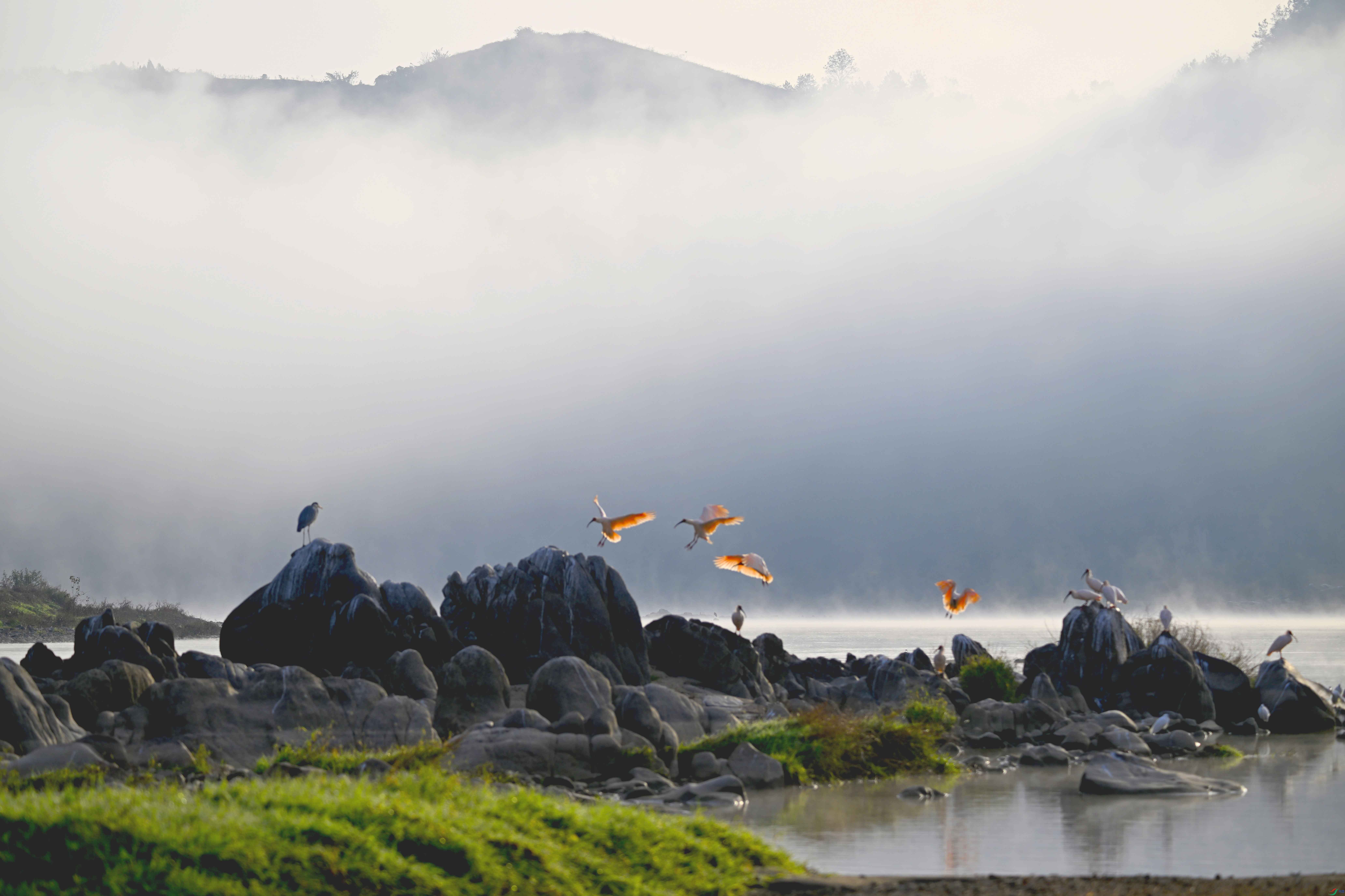 DSC_9721 ����.jpg