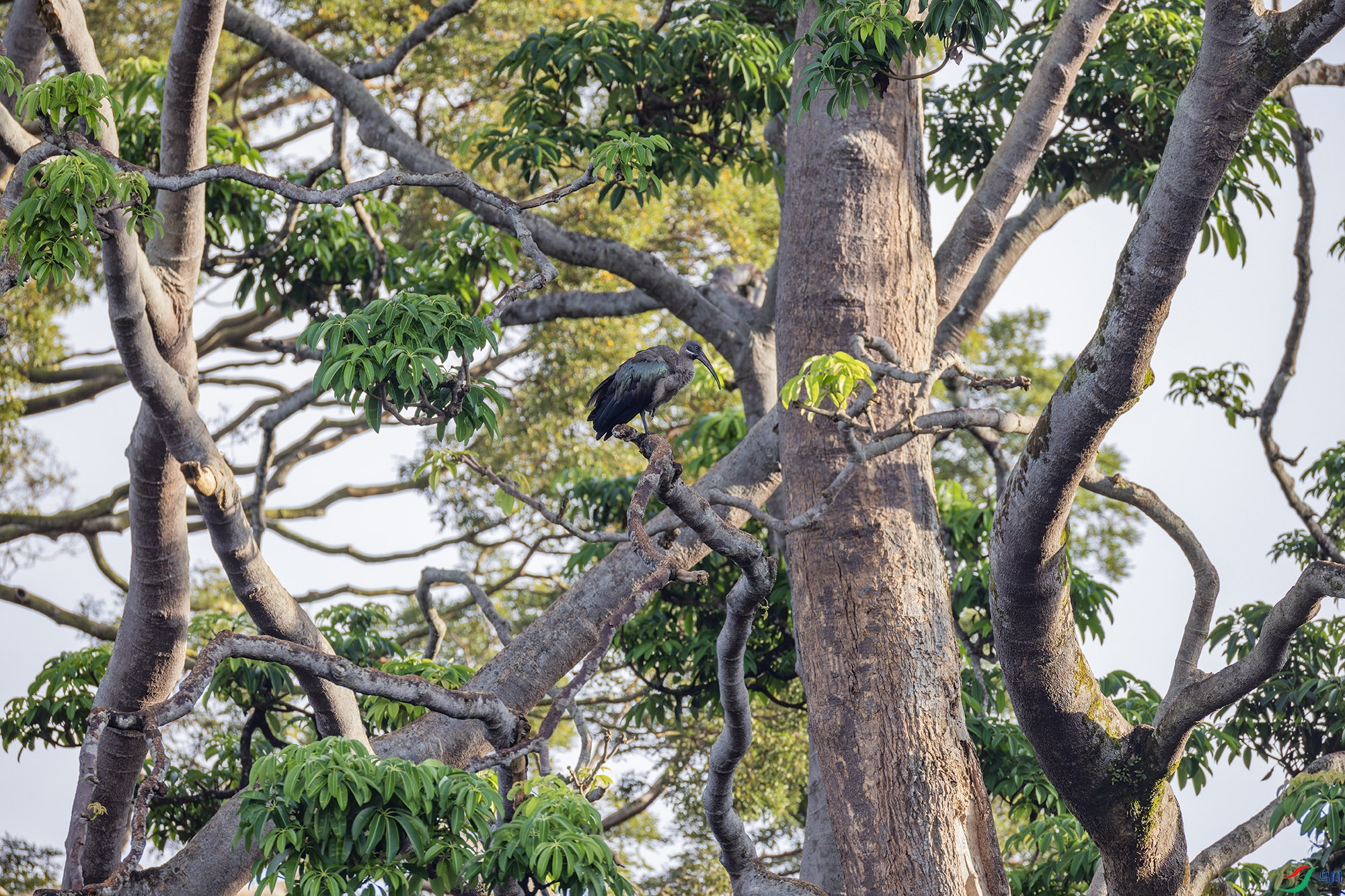 _97A1050-CR3 copy.jpg