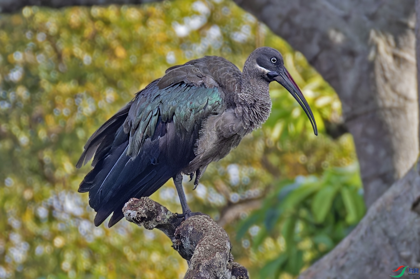 _97A1050-CR3 copy.jpg1.jpg