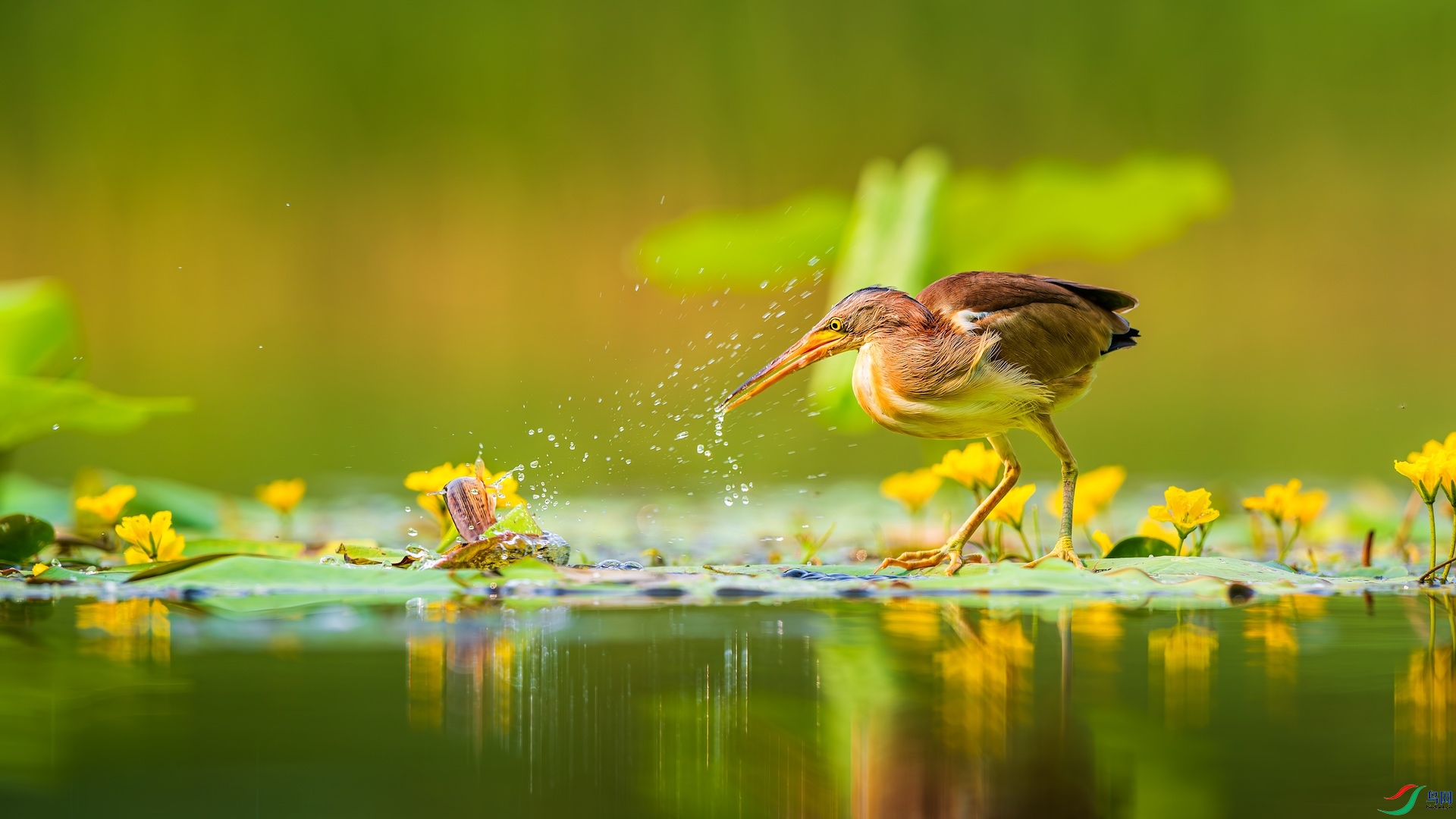 1_DSC1985-����ǿ-NR ����-1 2.jpeg