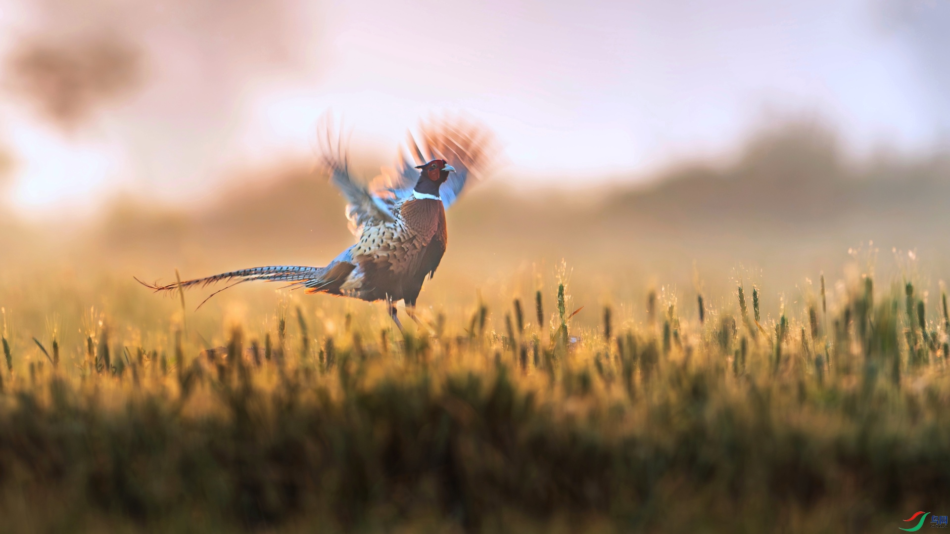 1_XXI4676-����ǿ-NR-1 2.jpeg