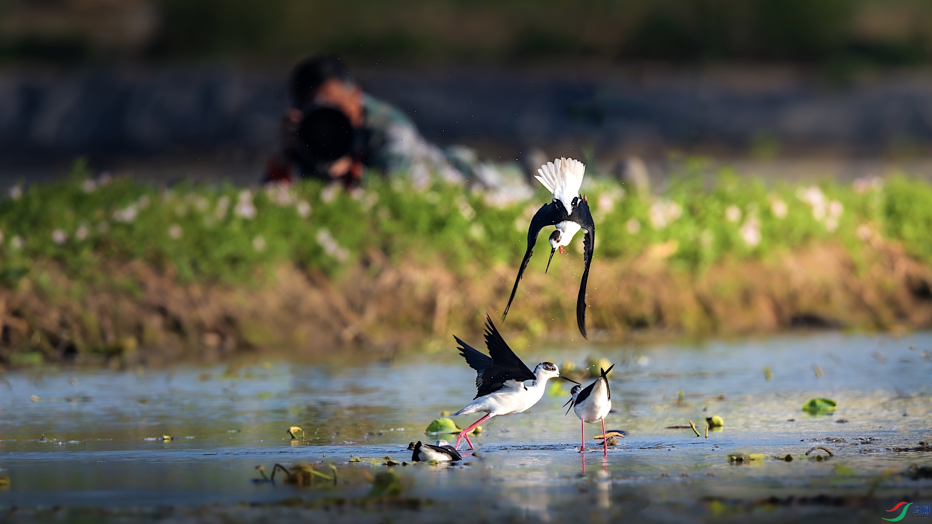 1_XXI7539-����ǿ-NR ����.jpeg