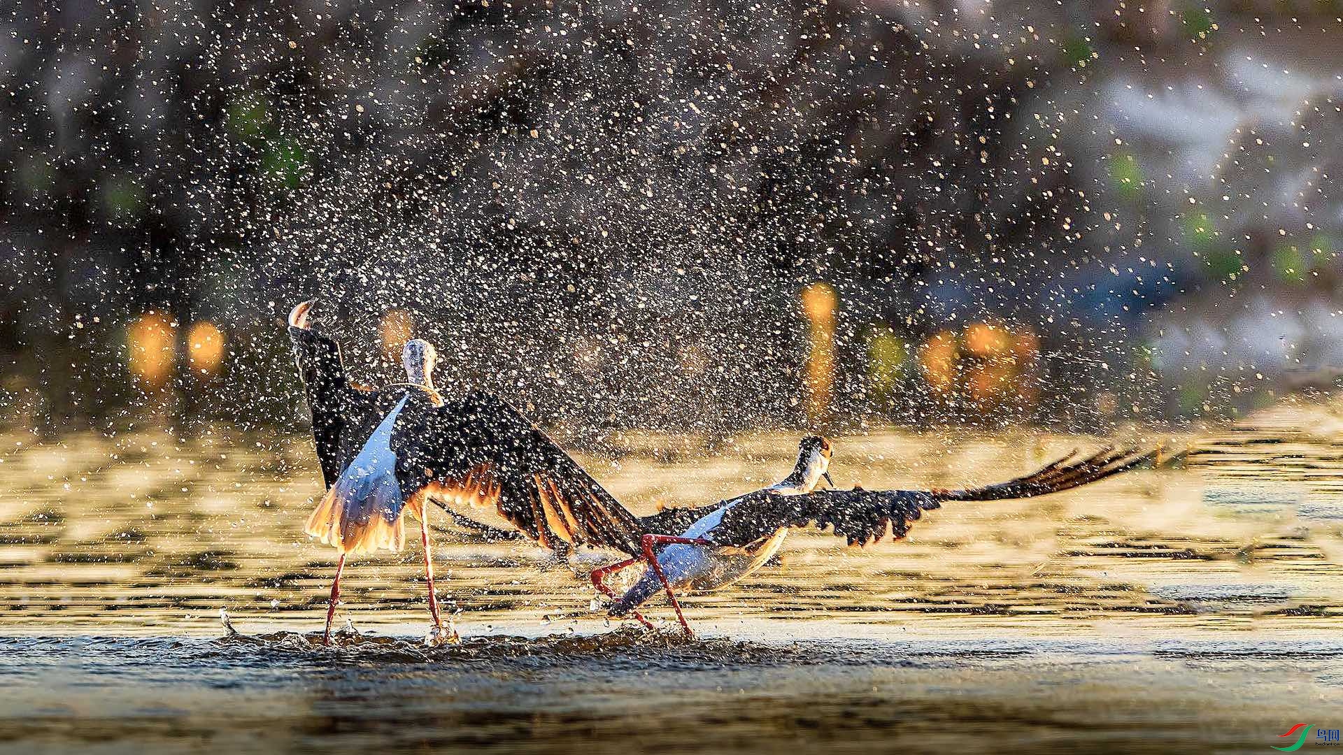 1-5δ����310�ĸ��� ����.jpeg