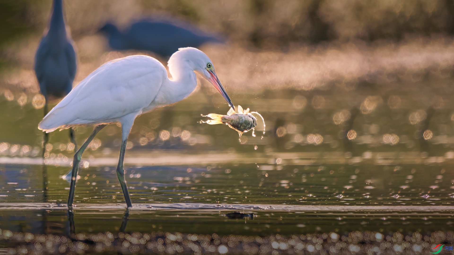 1�ĸ���2 ����.jpeg