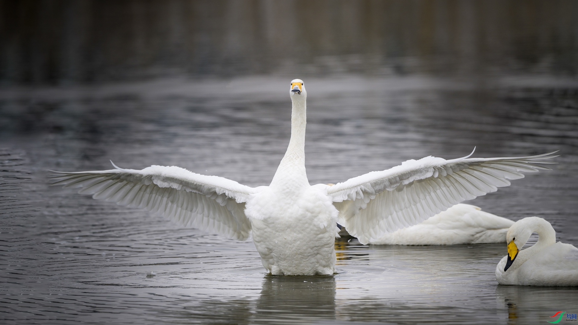 2_DSC4317 ����.jpg1 ����.jpeg