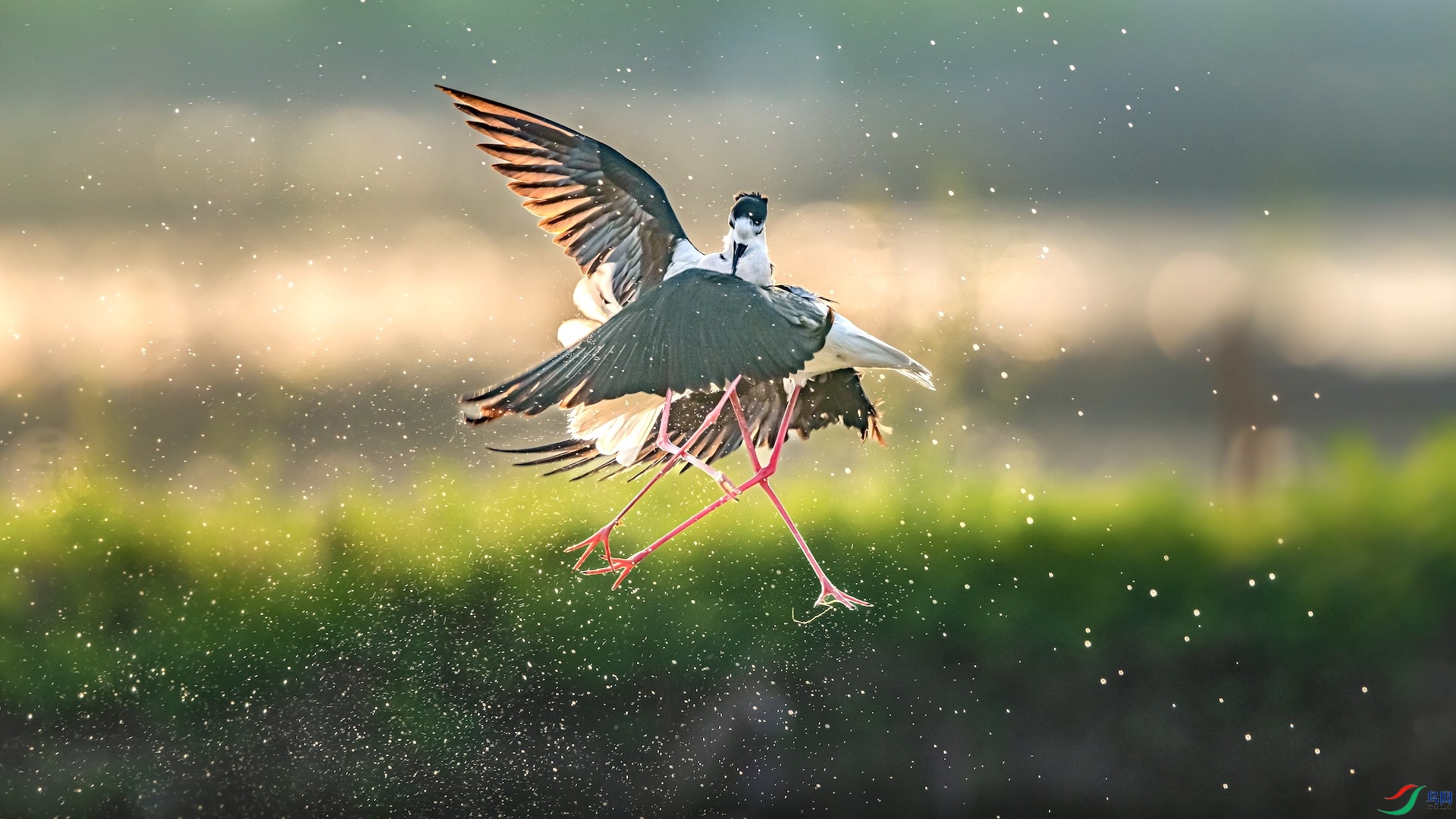 4_XXI0967 ����.jpeg