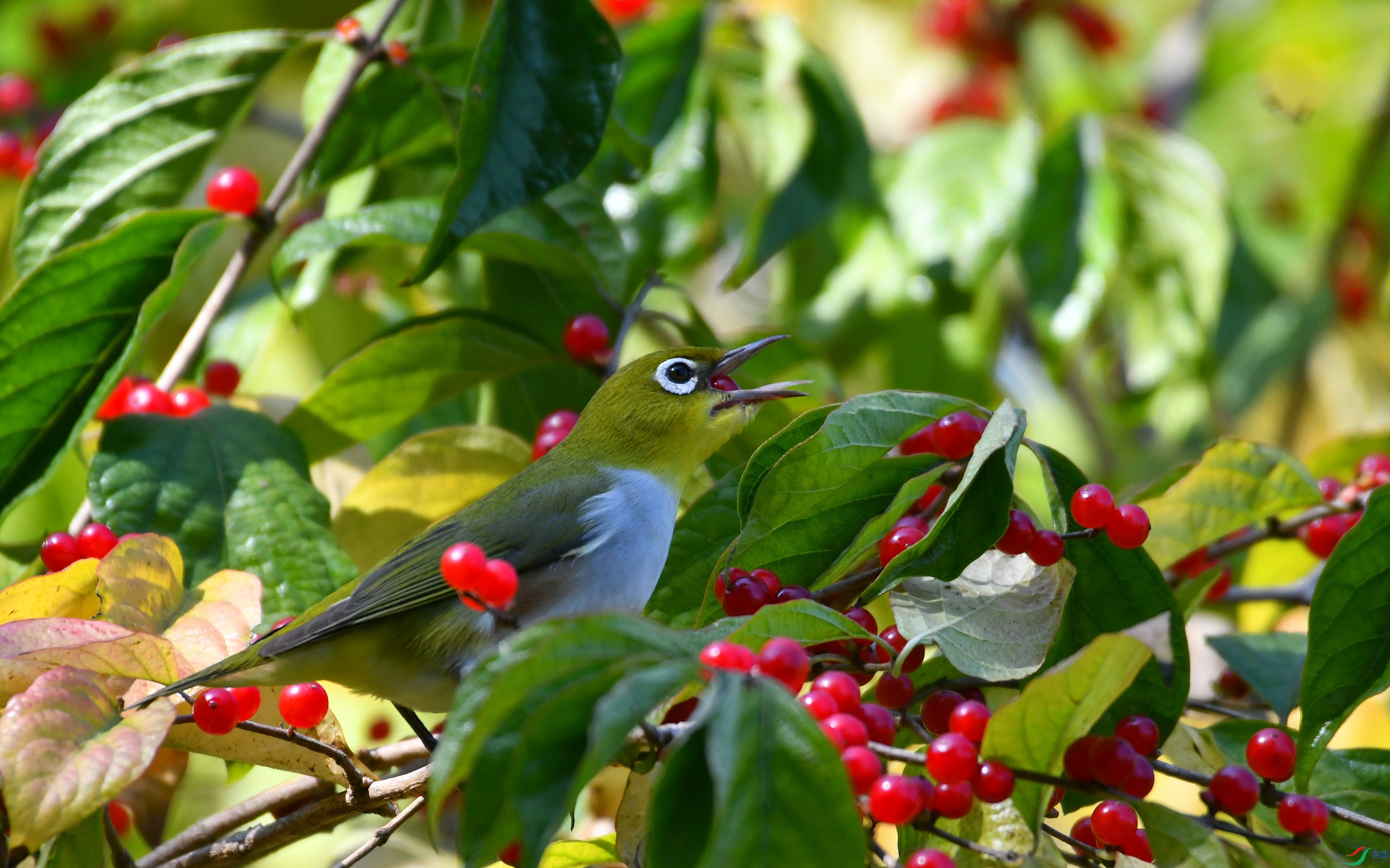 DSC_5405.JPG