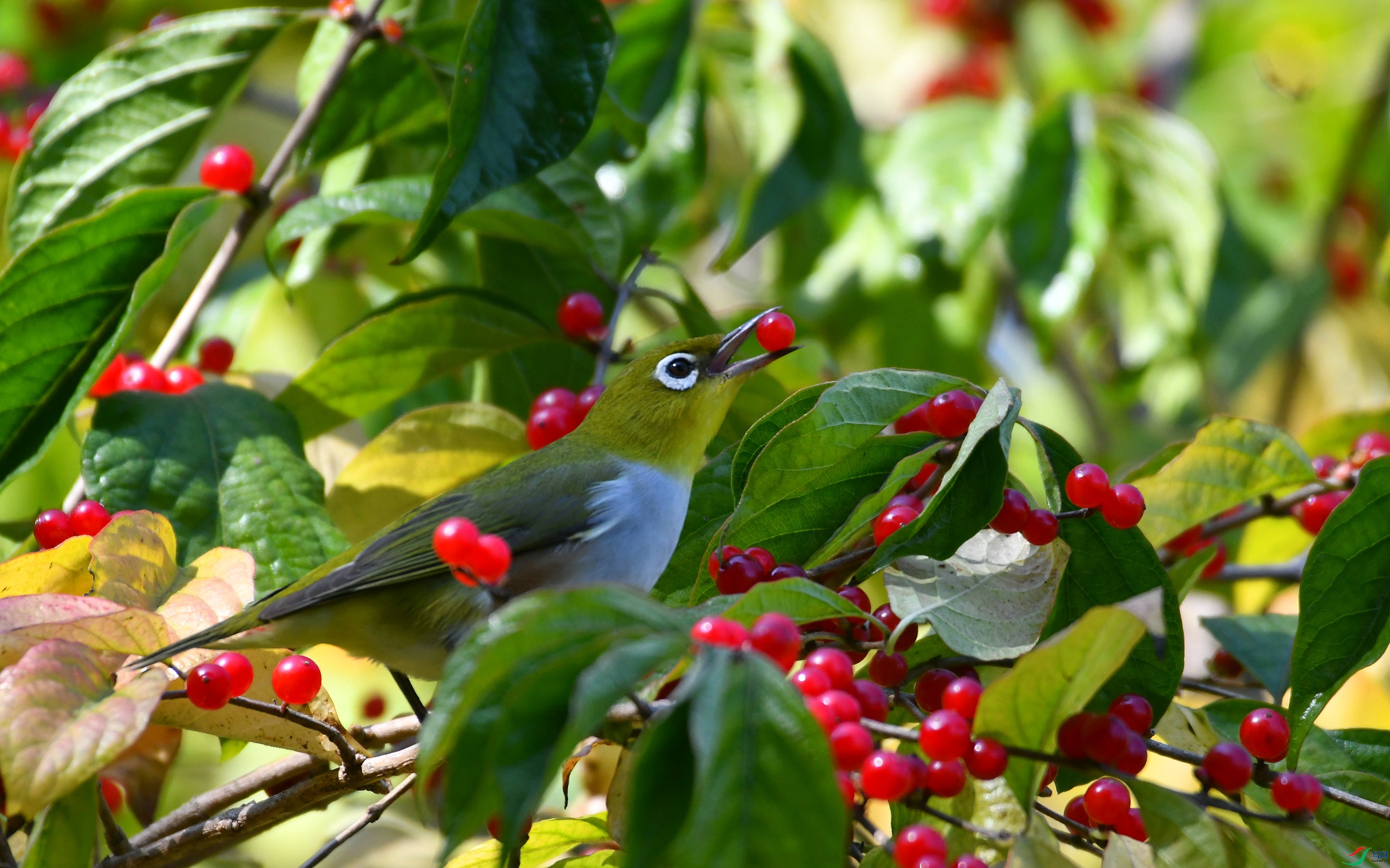 DSC_5404.JPG