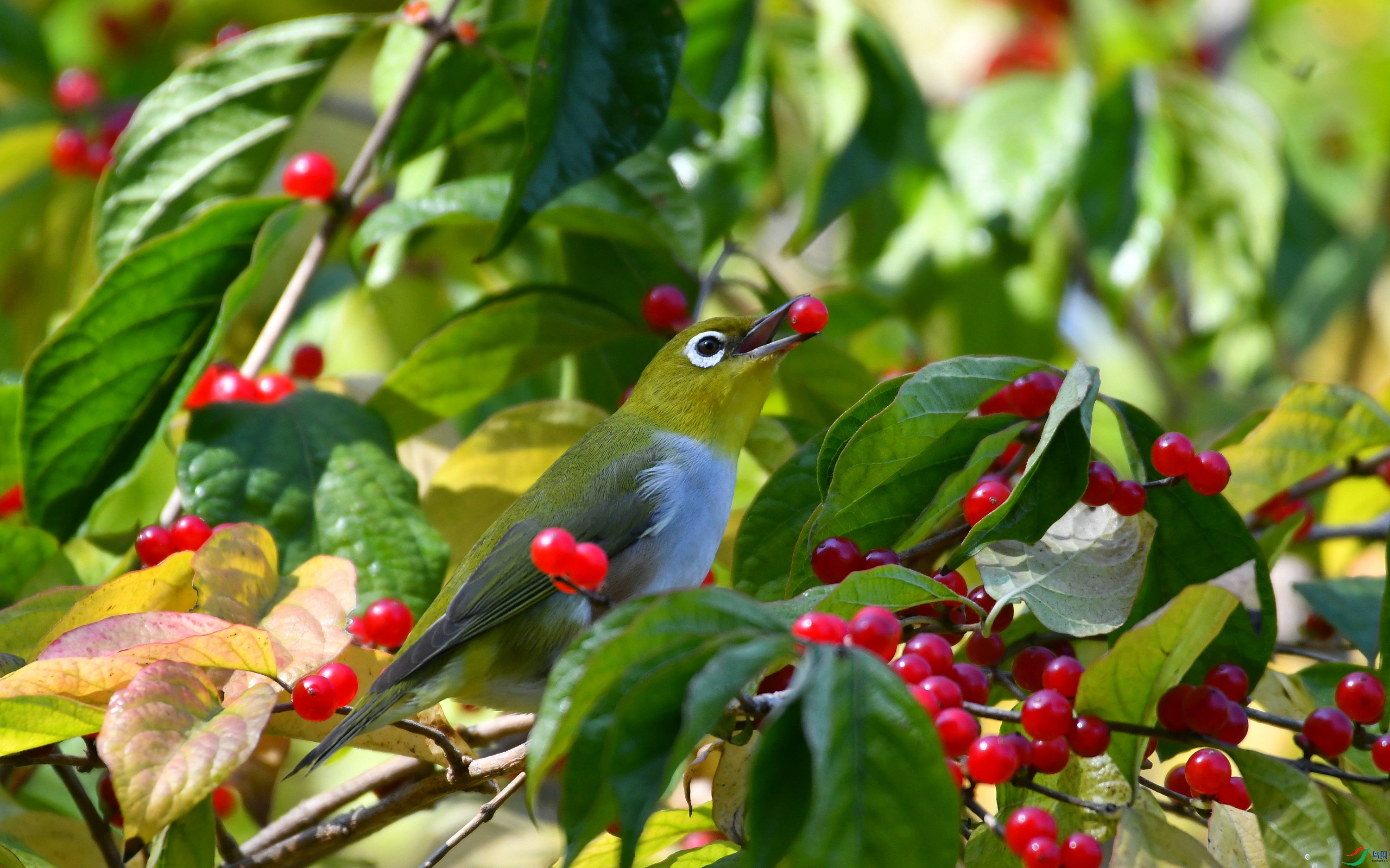 DSC_5432.JPG