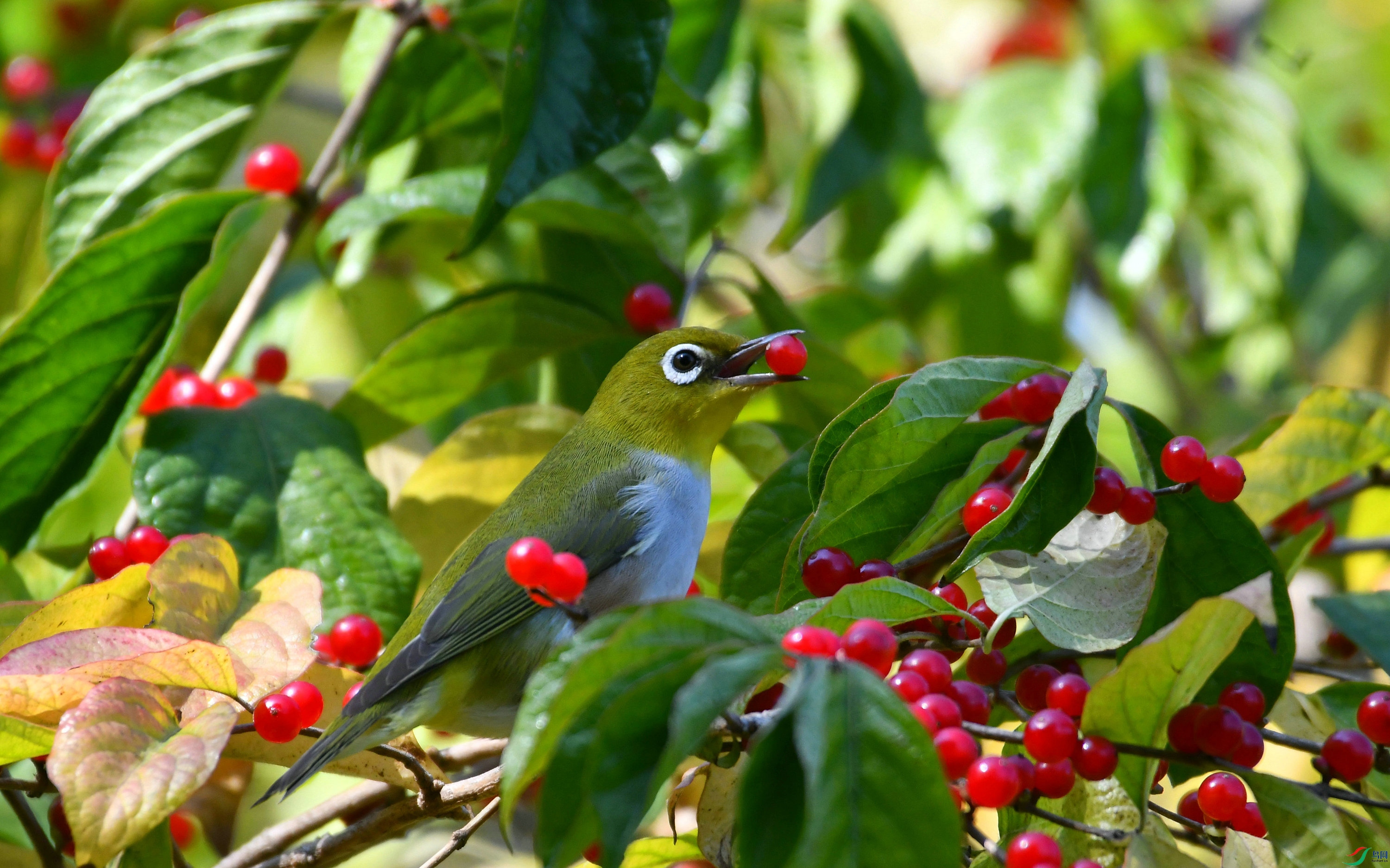 DSC_5429.JPG