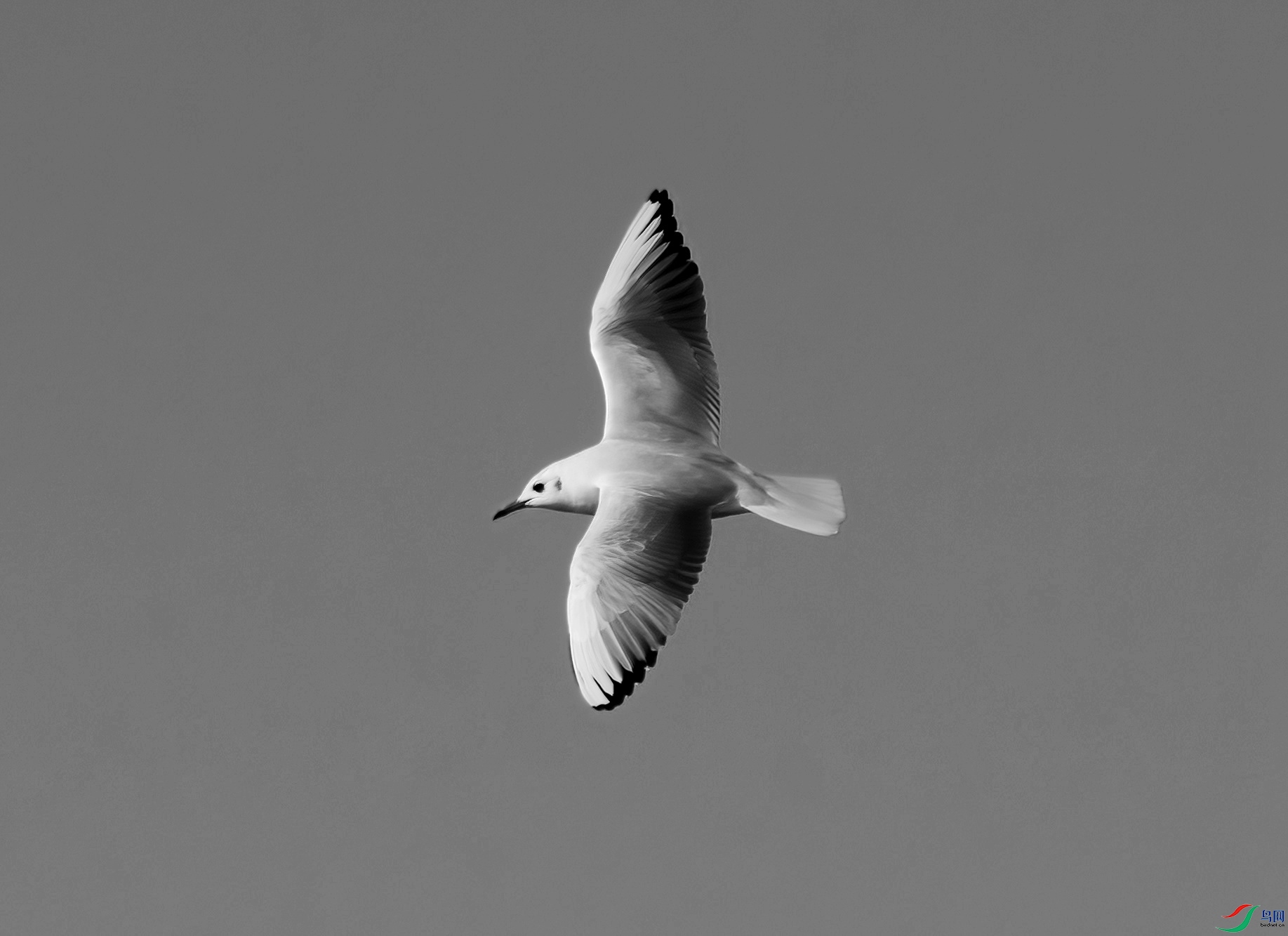 DSC_5535 (2) ����_����.jpg