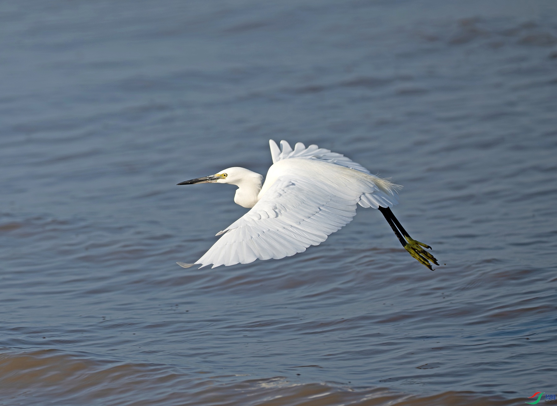 _DSC9593f.jpg