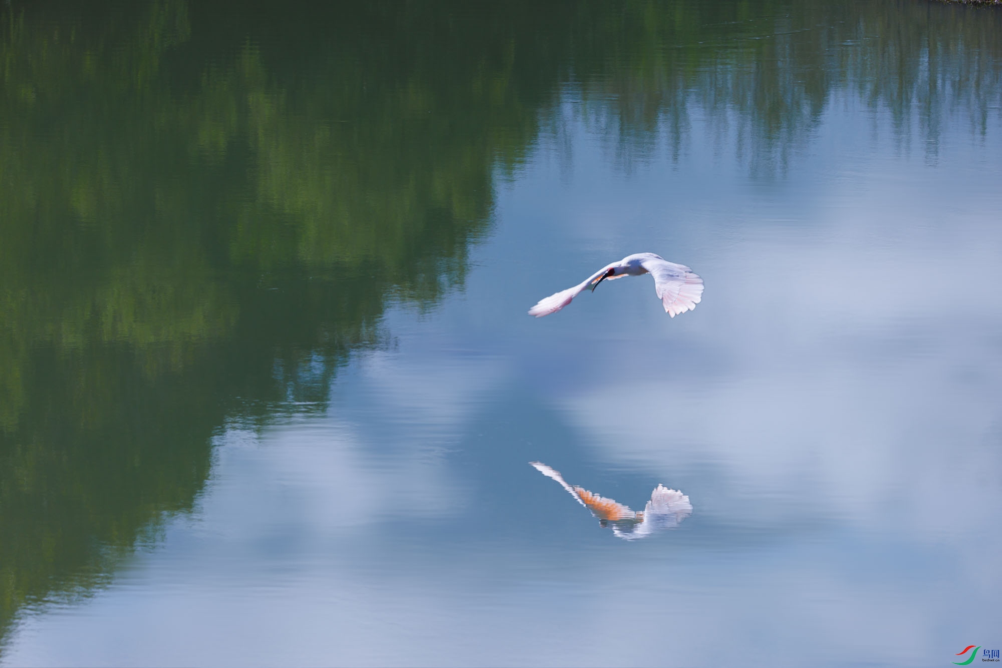 3Z6A2479 ����.jpg