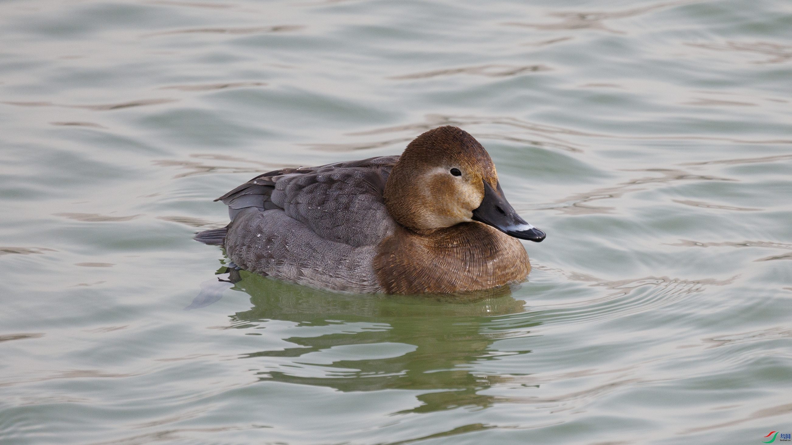 7X5A0404 ����000.jpg