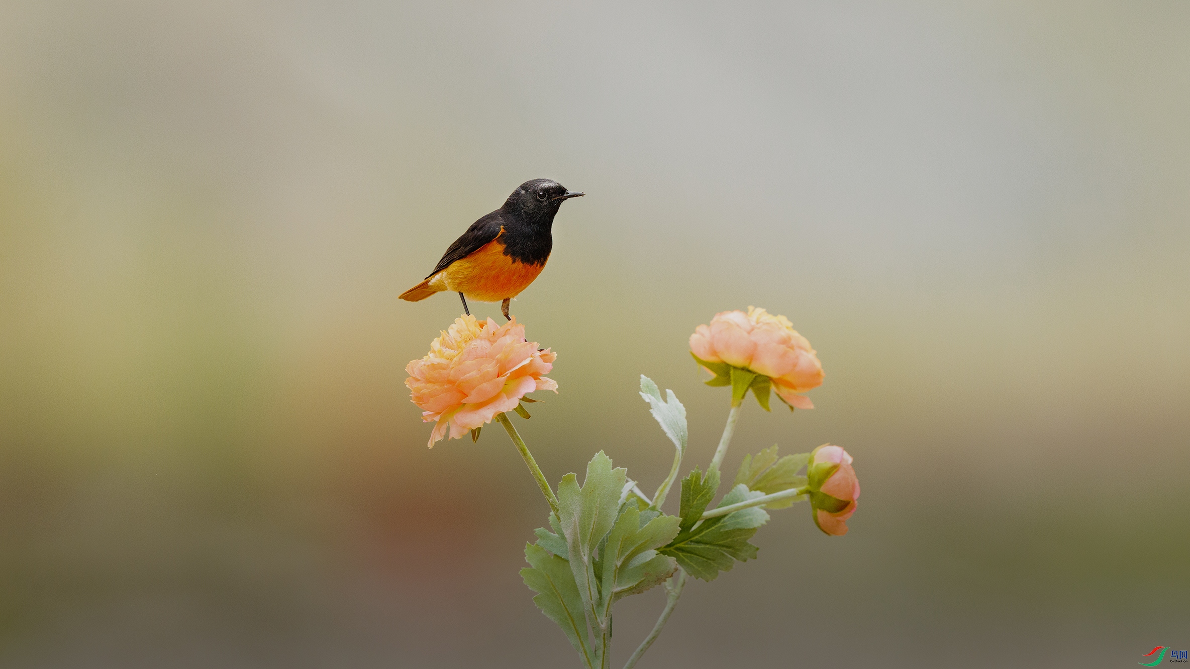 7X5A5368 ����000.jpg