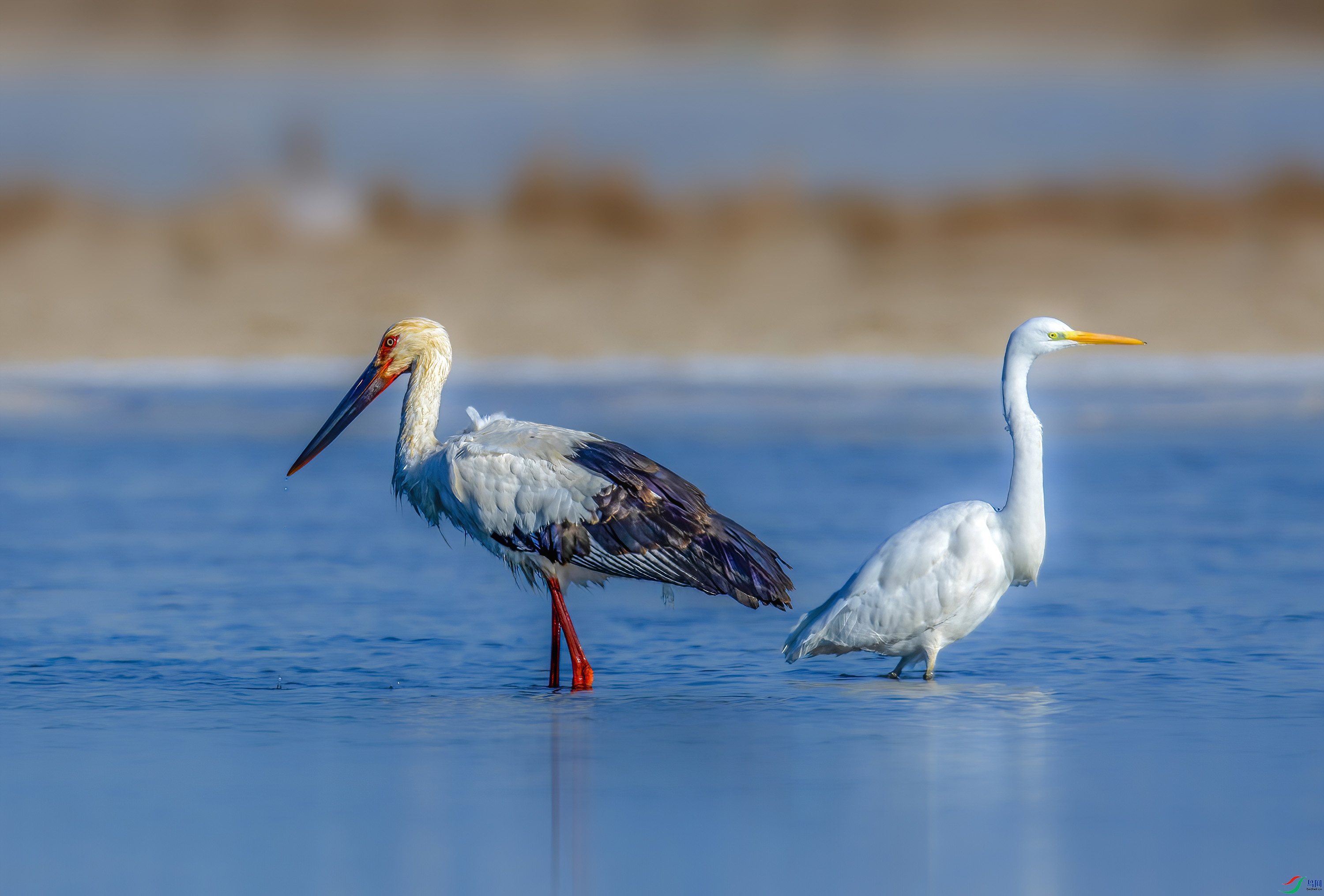 _JLN0906_1     ok.jpg