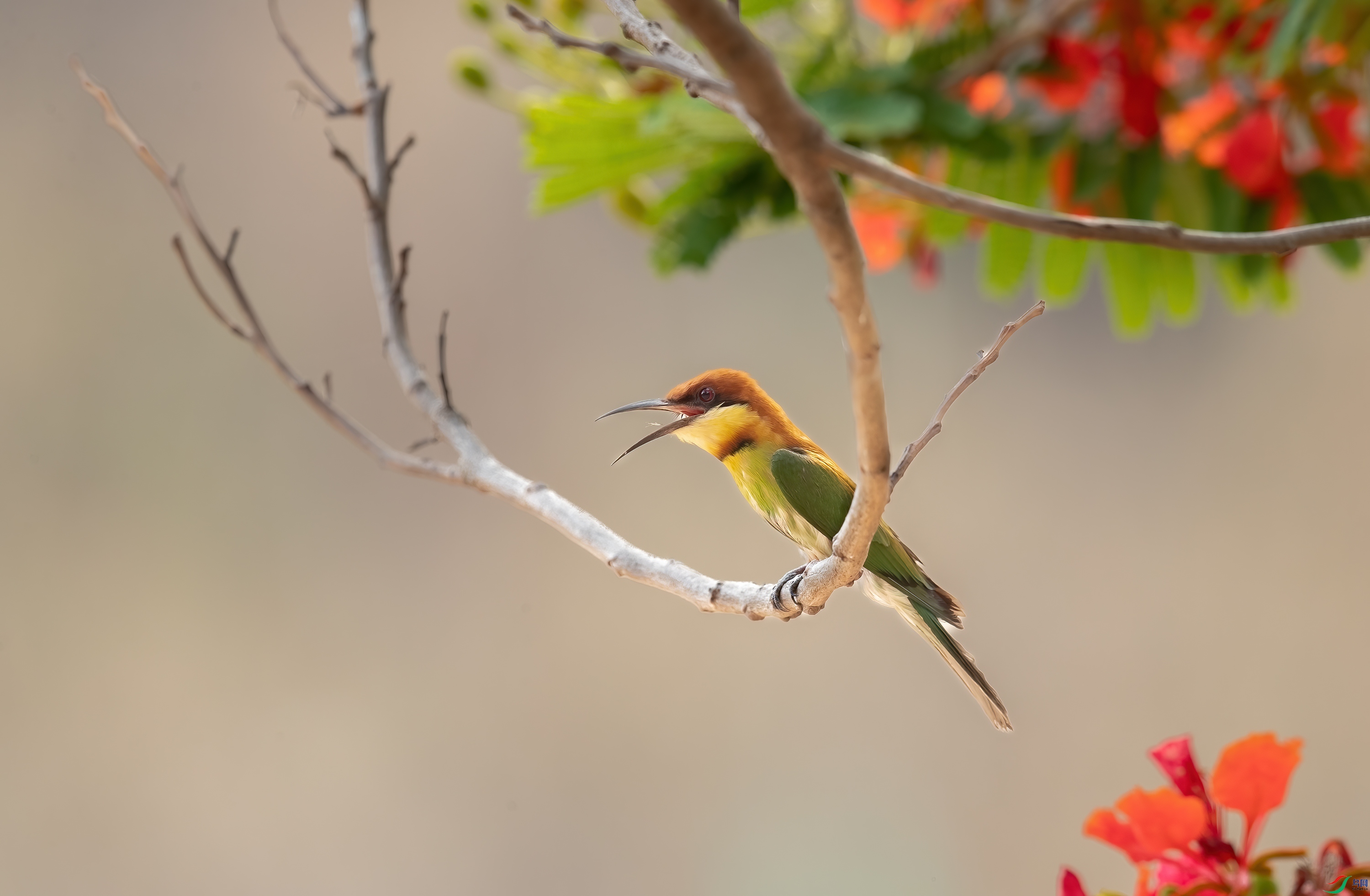 AY8I8403 ����.jpg