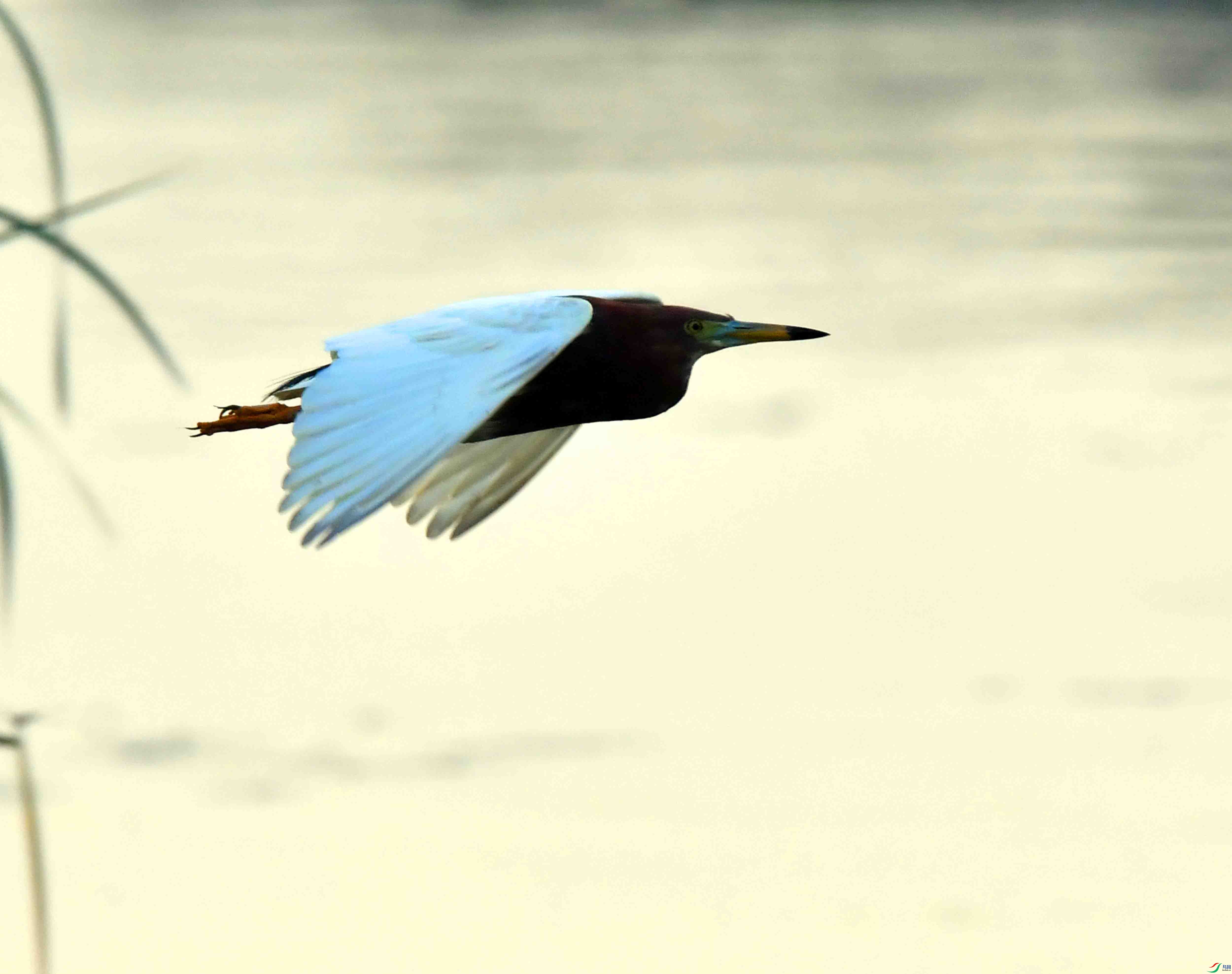 DSC_6706.JPG