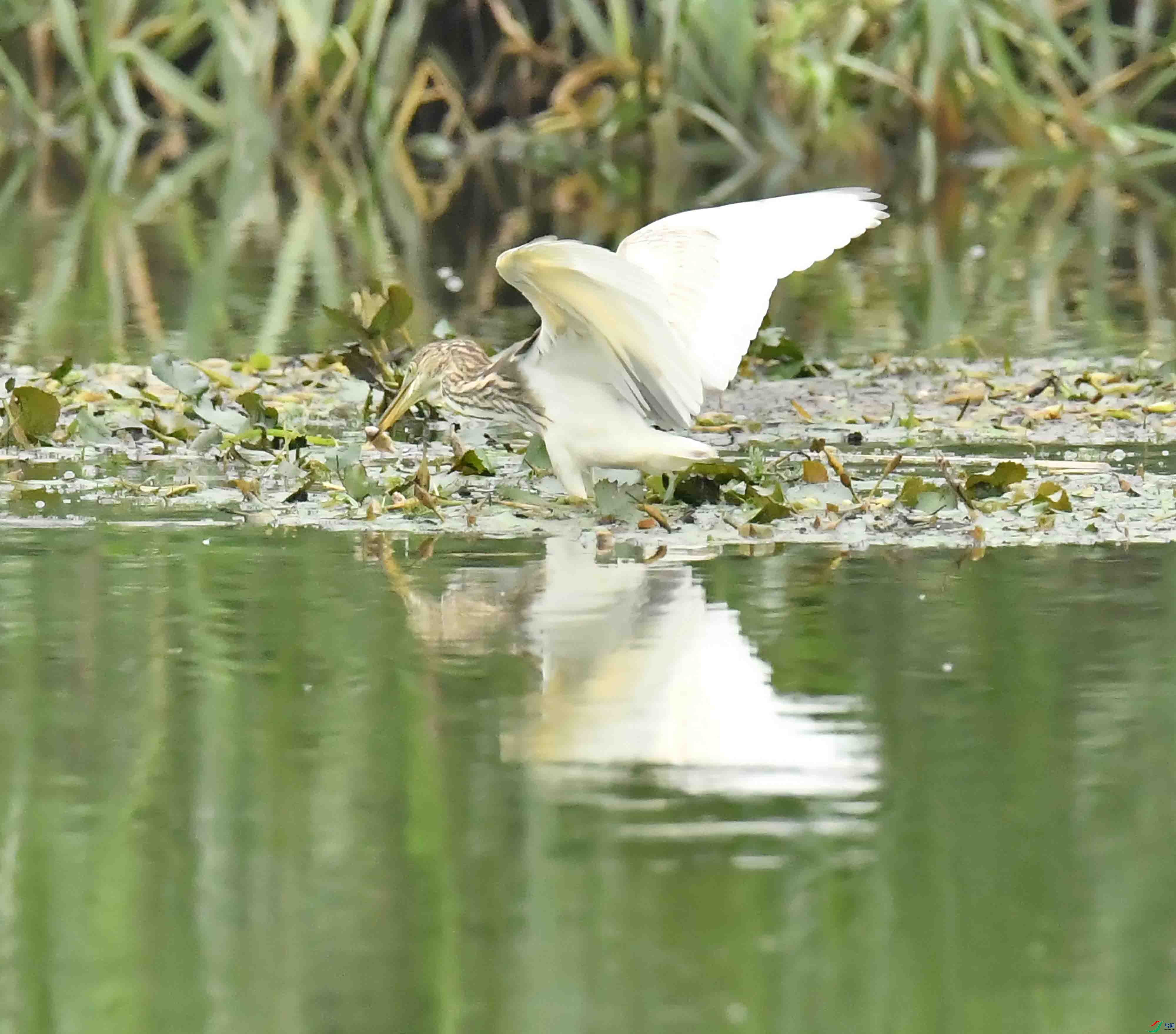 DSC_6813.JPG