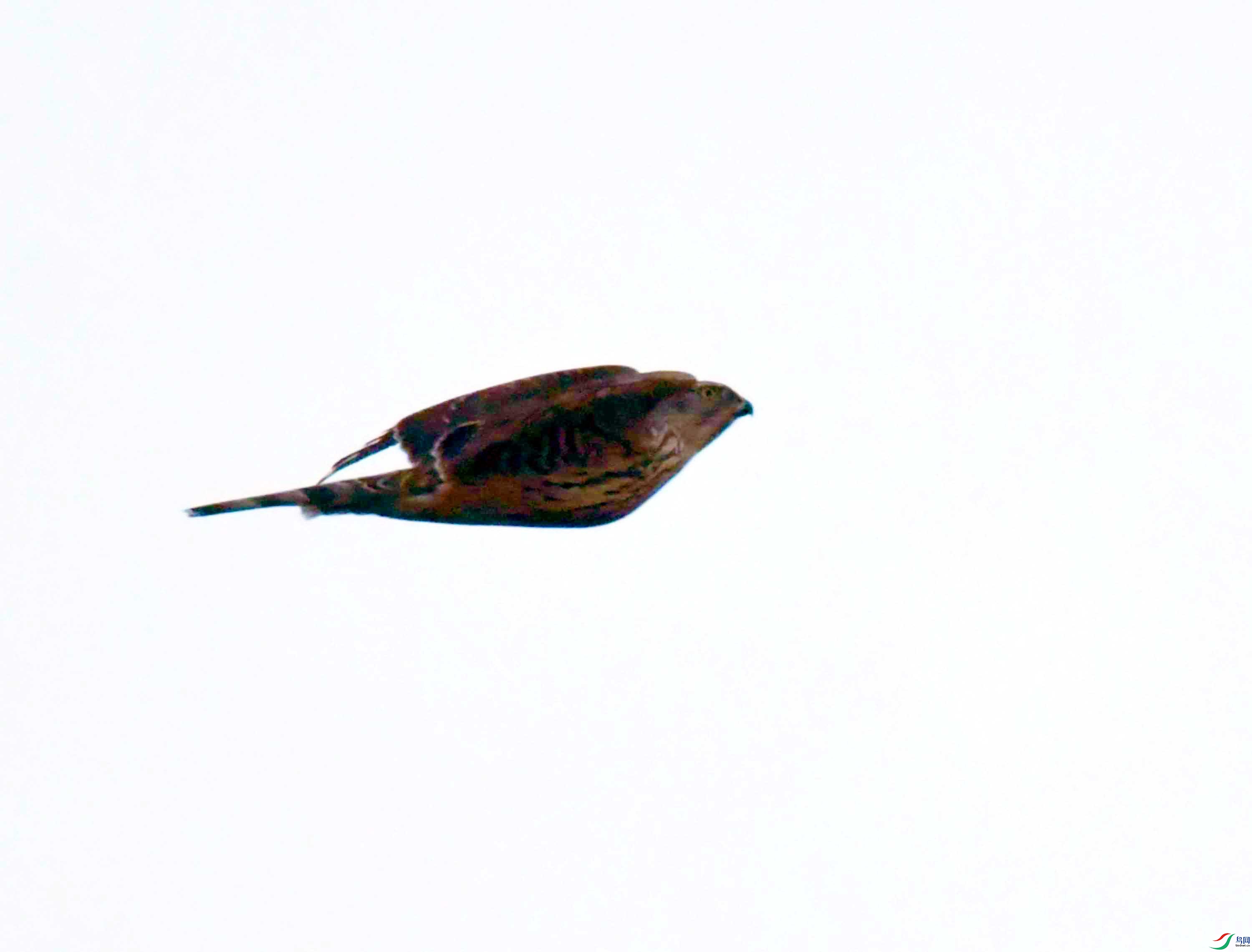 DSC_3041.JPG