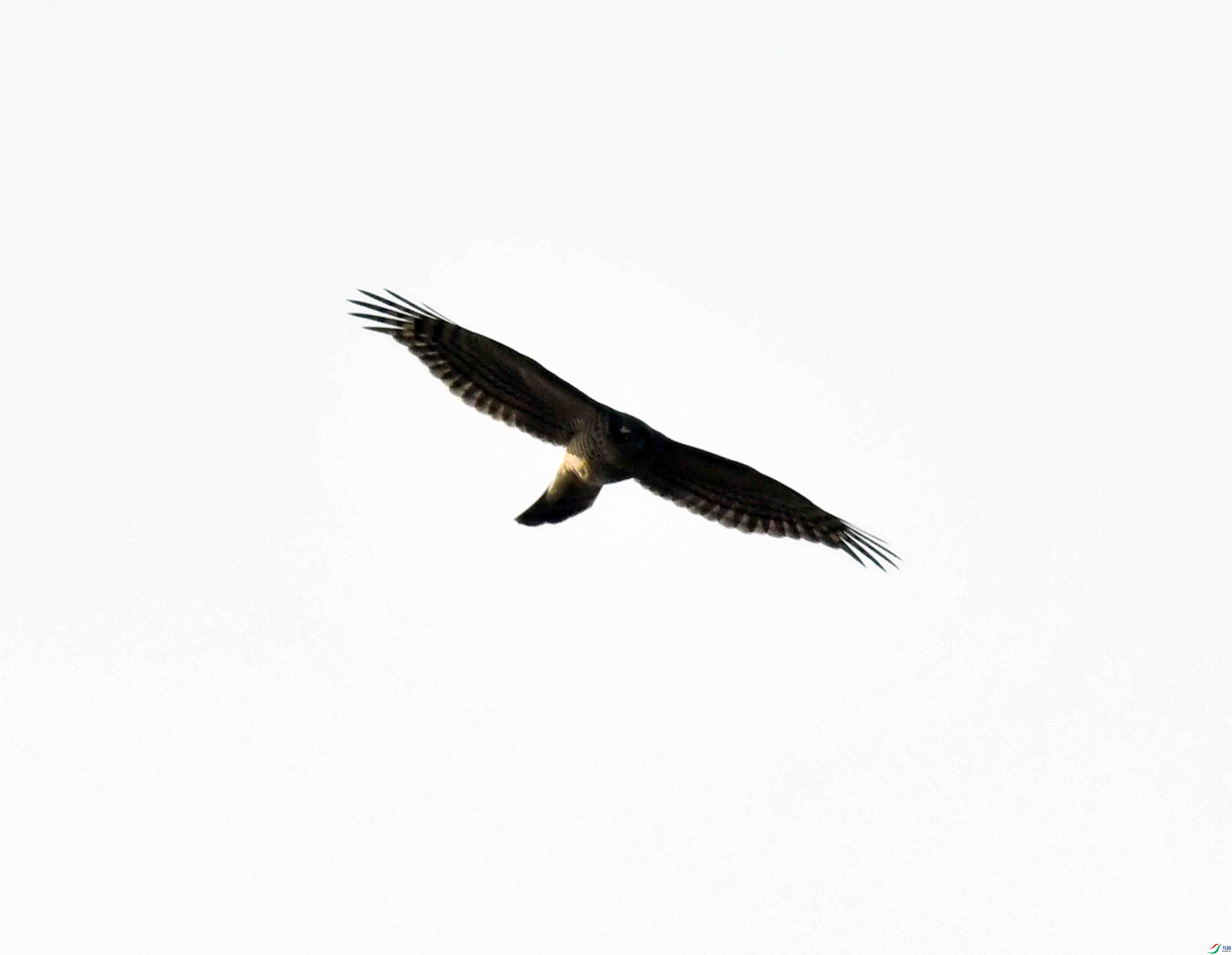 DSC_3292.JPG