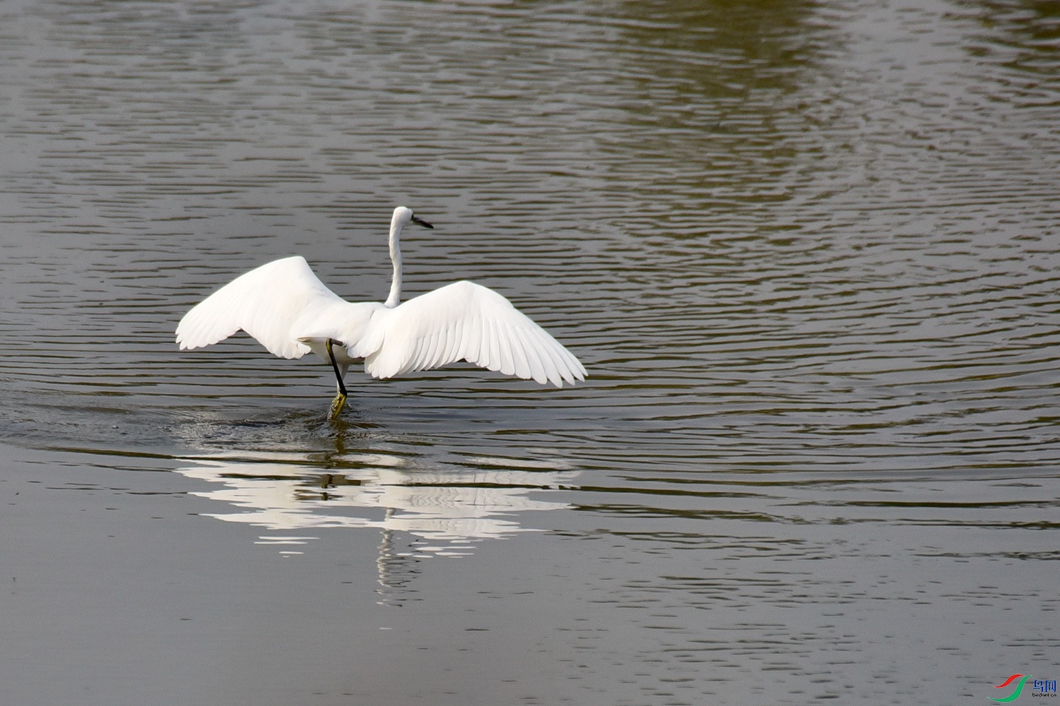 DSC_4023.JPG