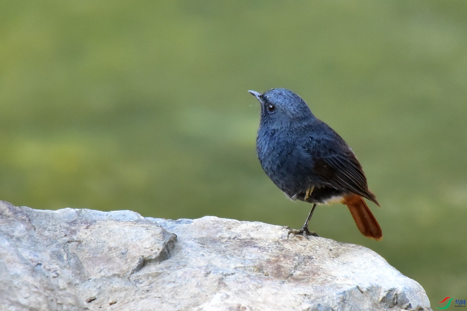 DSC_7332.JPG
