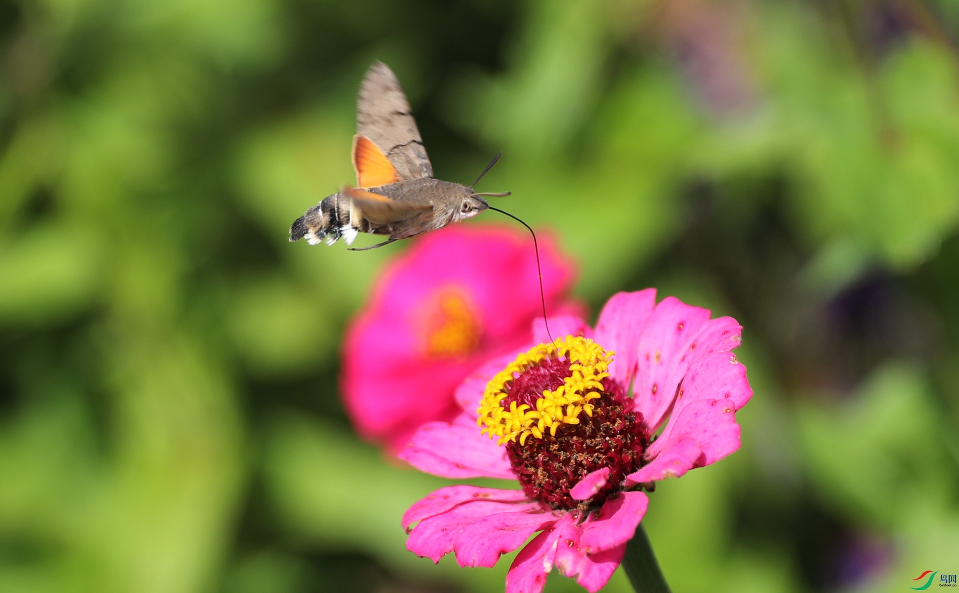 9G8A7519.JPG